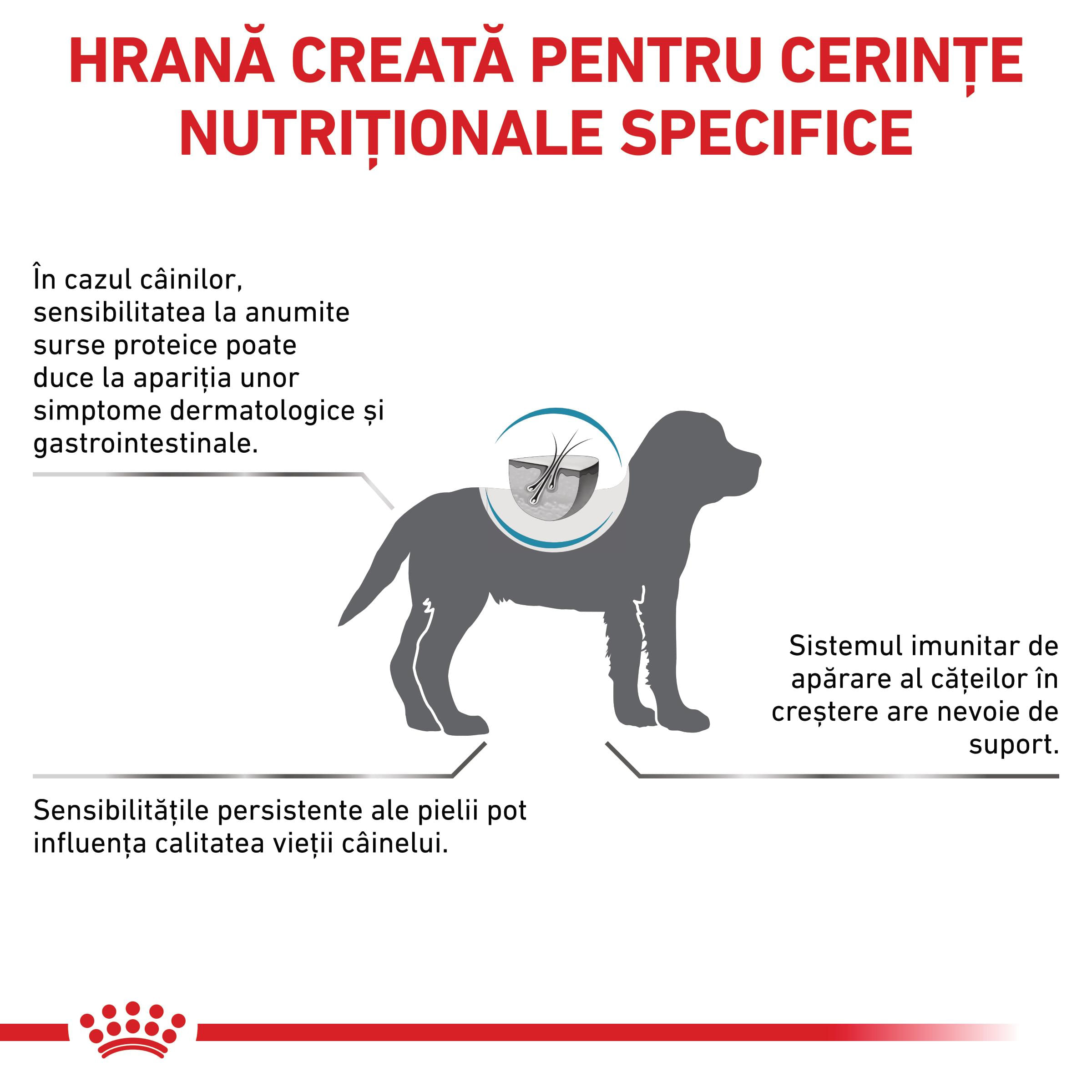 ROYAL CANIN VD Hypoallergenic Puppy, XS-XL, dietă veterinară, hrană uscată câini junior, afecțiuni dermatologice, 3.5kg