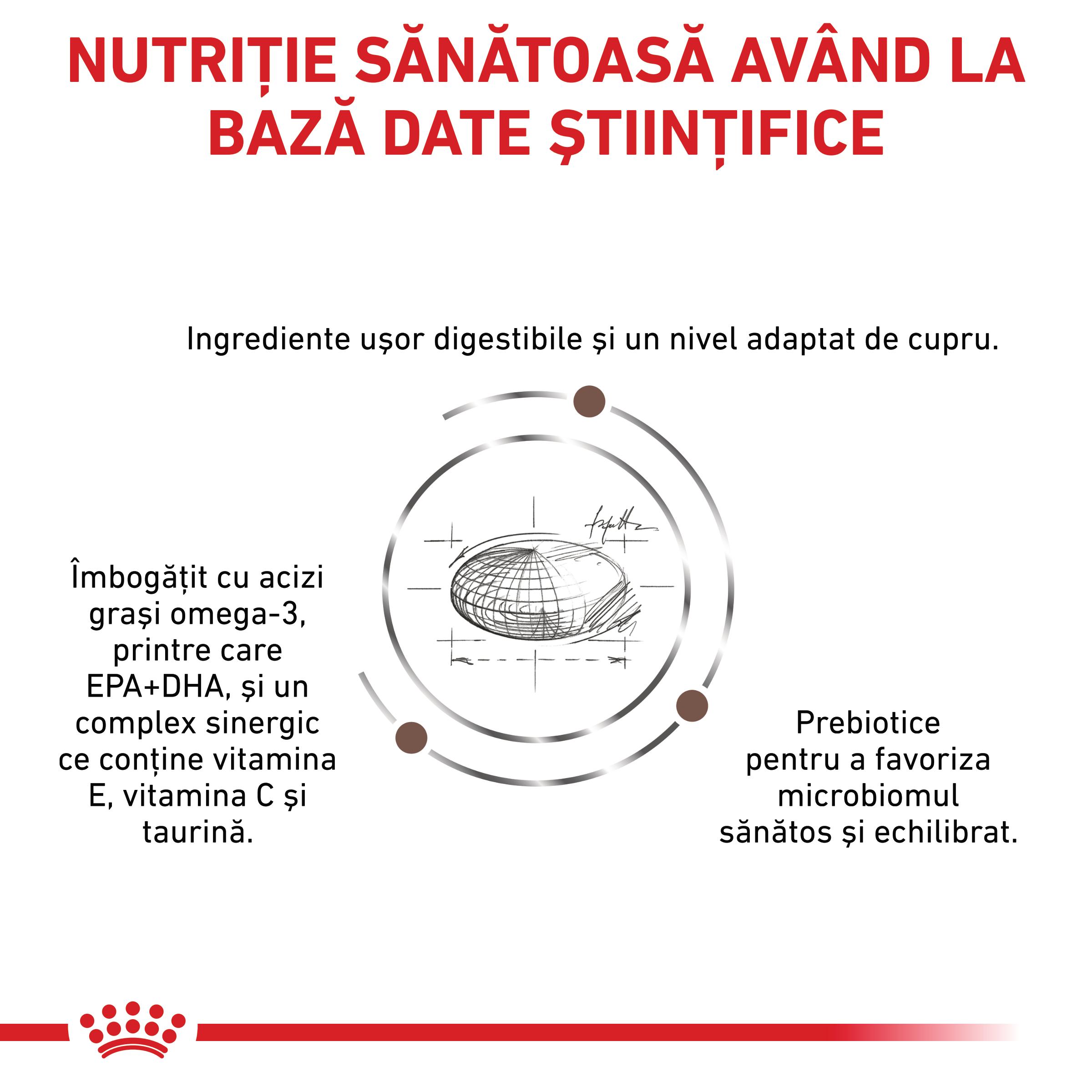 ROYAL CANIN VD Hepatic, dietă veterinară, hrană uscată pisici, suport hepatic, 4kg
