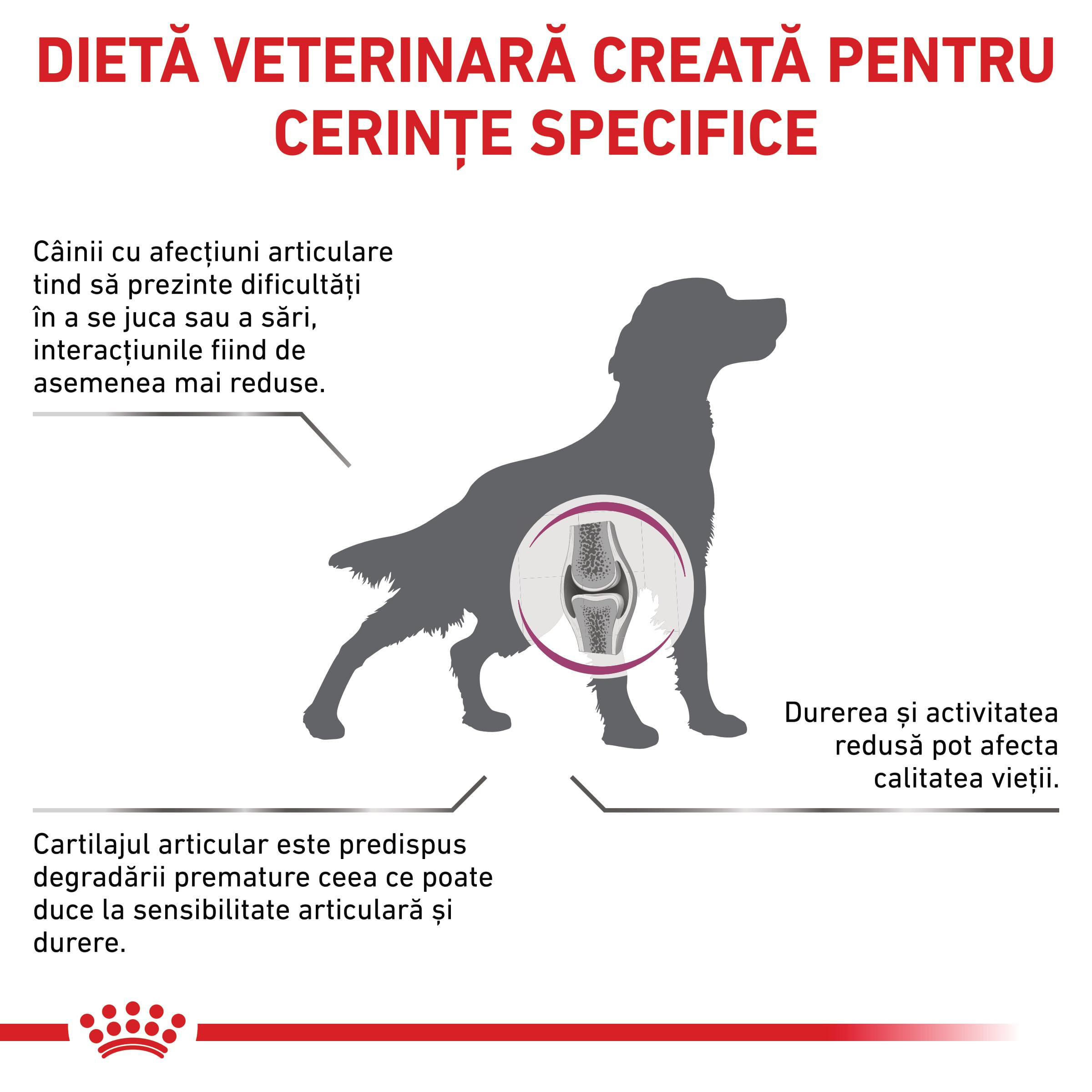 ROYAL CANIN VD Mobility Support, XS-XL, dietă veterinară, hrană uscată câini, sistem articular, 12kg - 2 | YEO