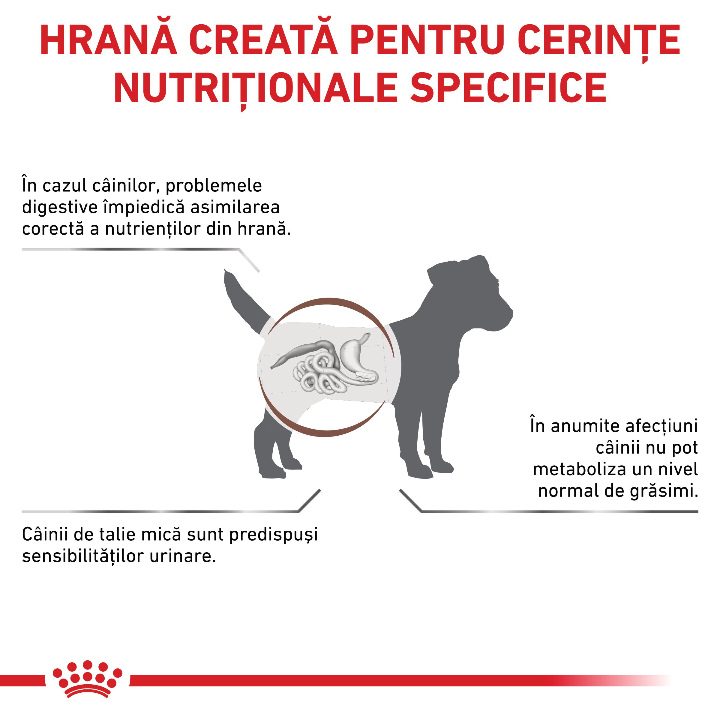 ROYAL CANIN VD Gastrointestinal Low Fat Small Dog, XS-S, dietă veterinară, hrană uscată câini, sistem digestiv, 3.5kg