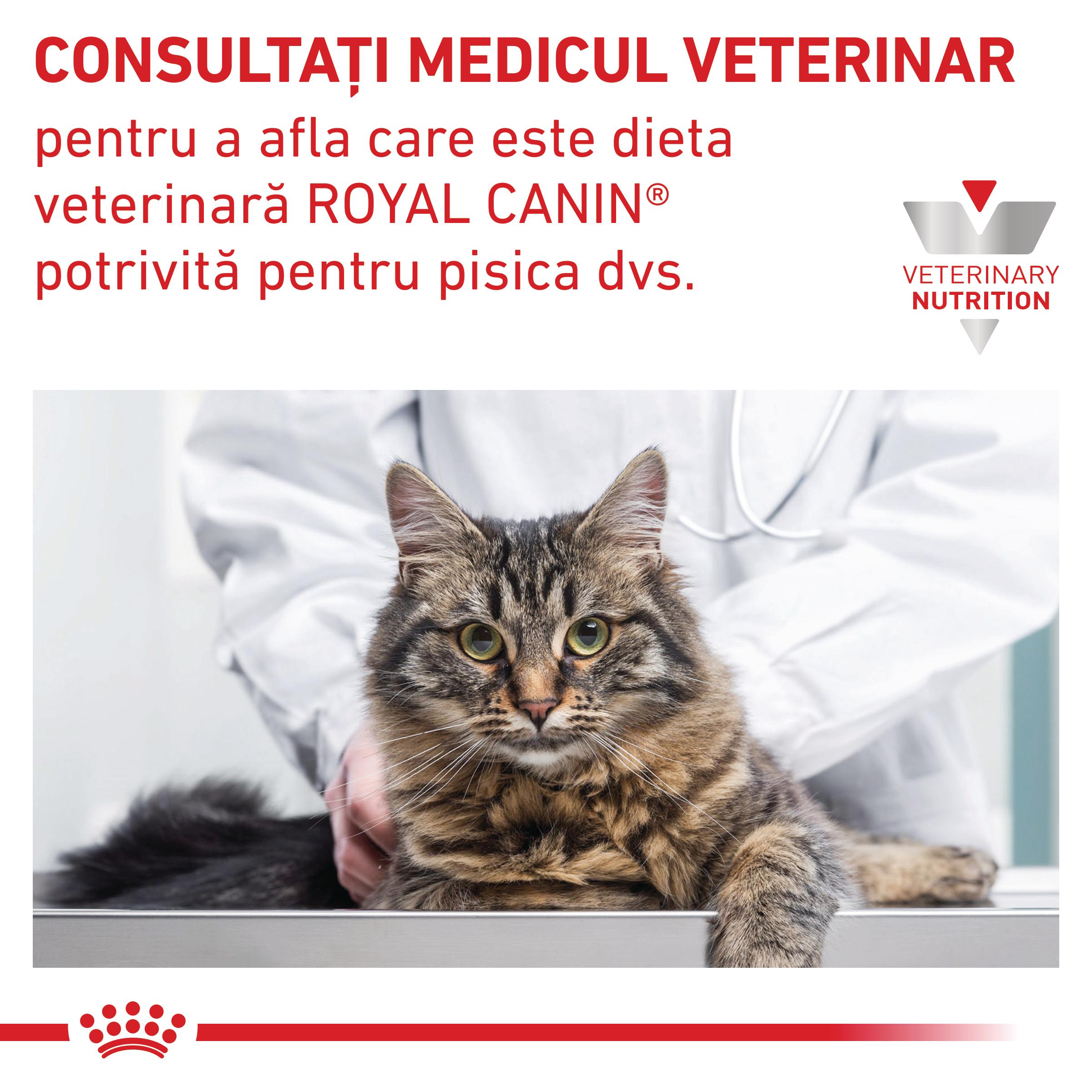 ROYAL CANIN VD Hepatic, dietă veterinară, hrană uscată pisici, suport hepatic, 4kg