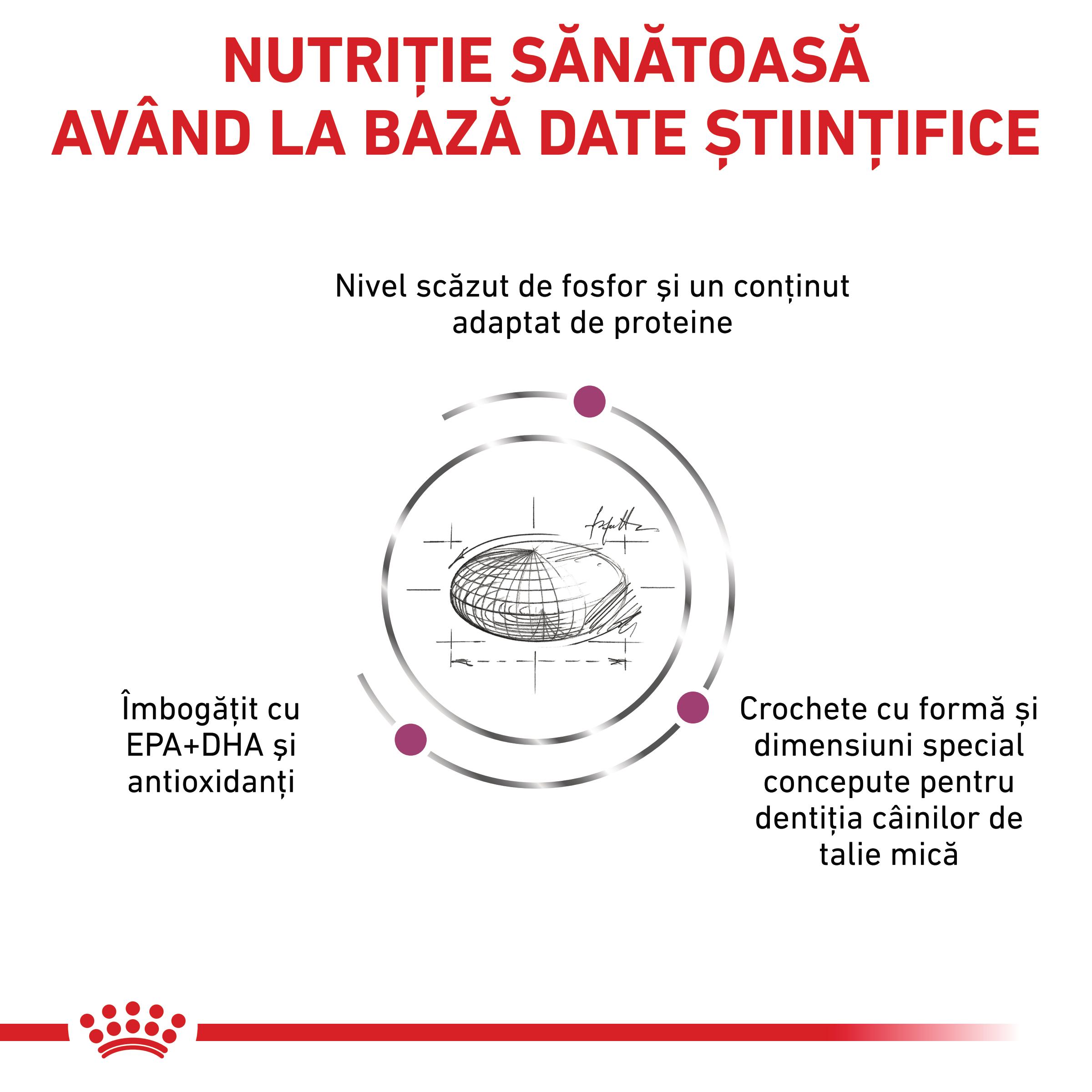 ROYAL CANIN VD Renal Small Dog, XS-S, dietă veterinară, hrană uscată câini, sistem renal, 3.5kg