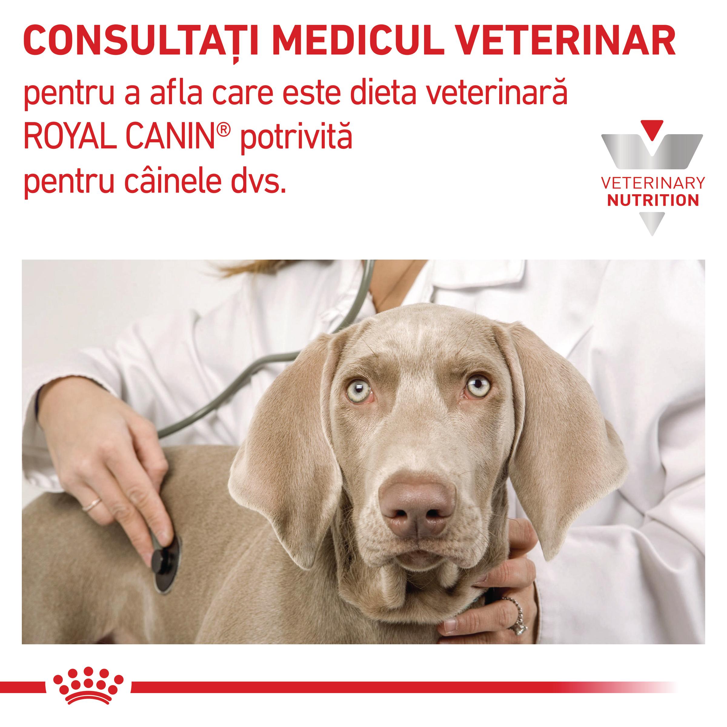 ROYAL CANIN VD Renal, XS-XL, dietă veterinară, conservă hrană umedă câini, sistem renal, (pate), 410g