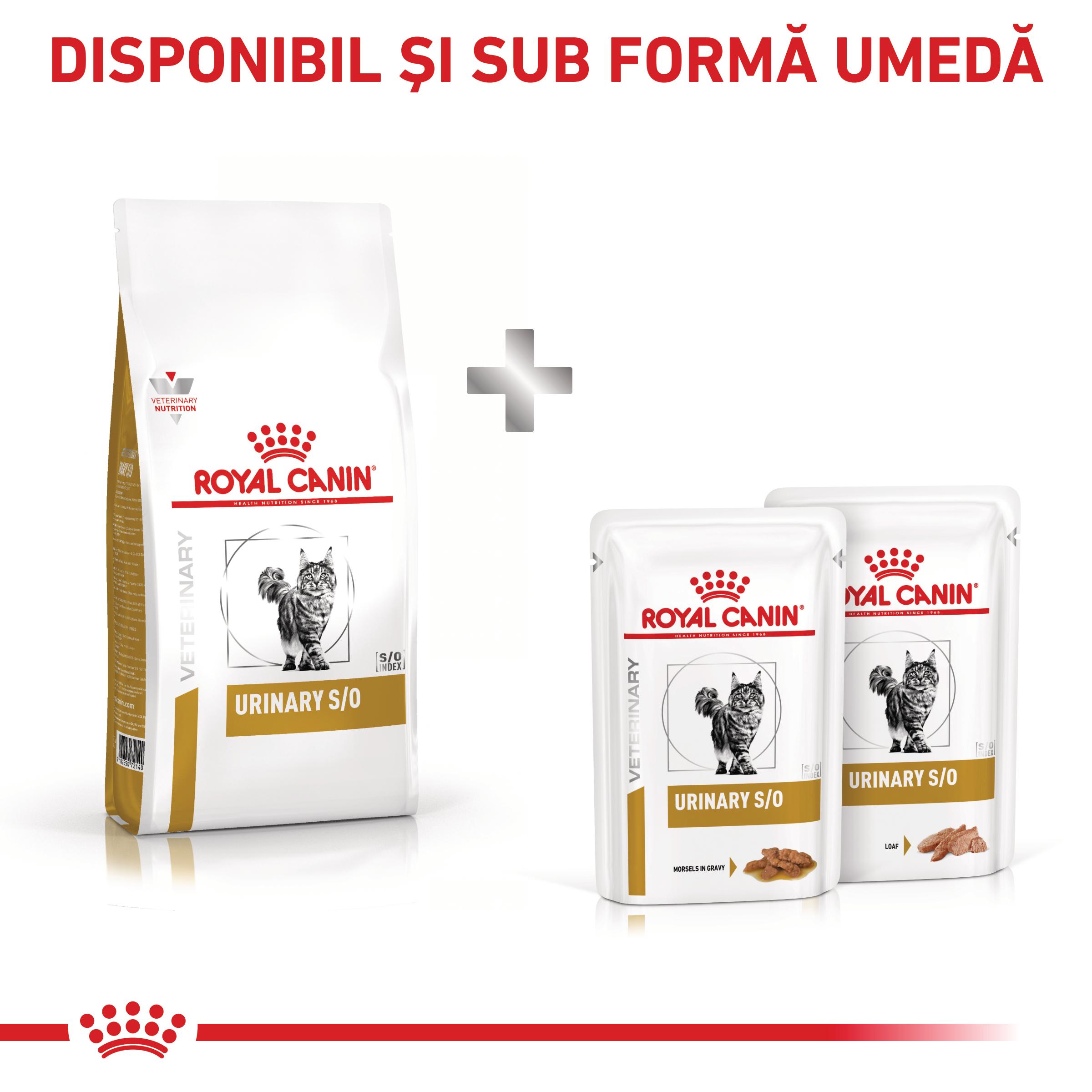 ROYAL CANIN VD Urinary S/O, dietă veterinară, hrană uscată pisici, sistem urinar, 3.5kg