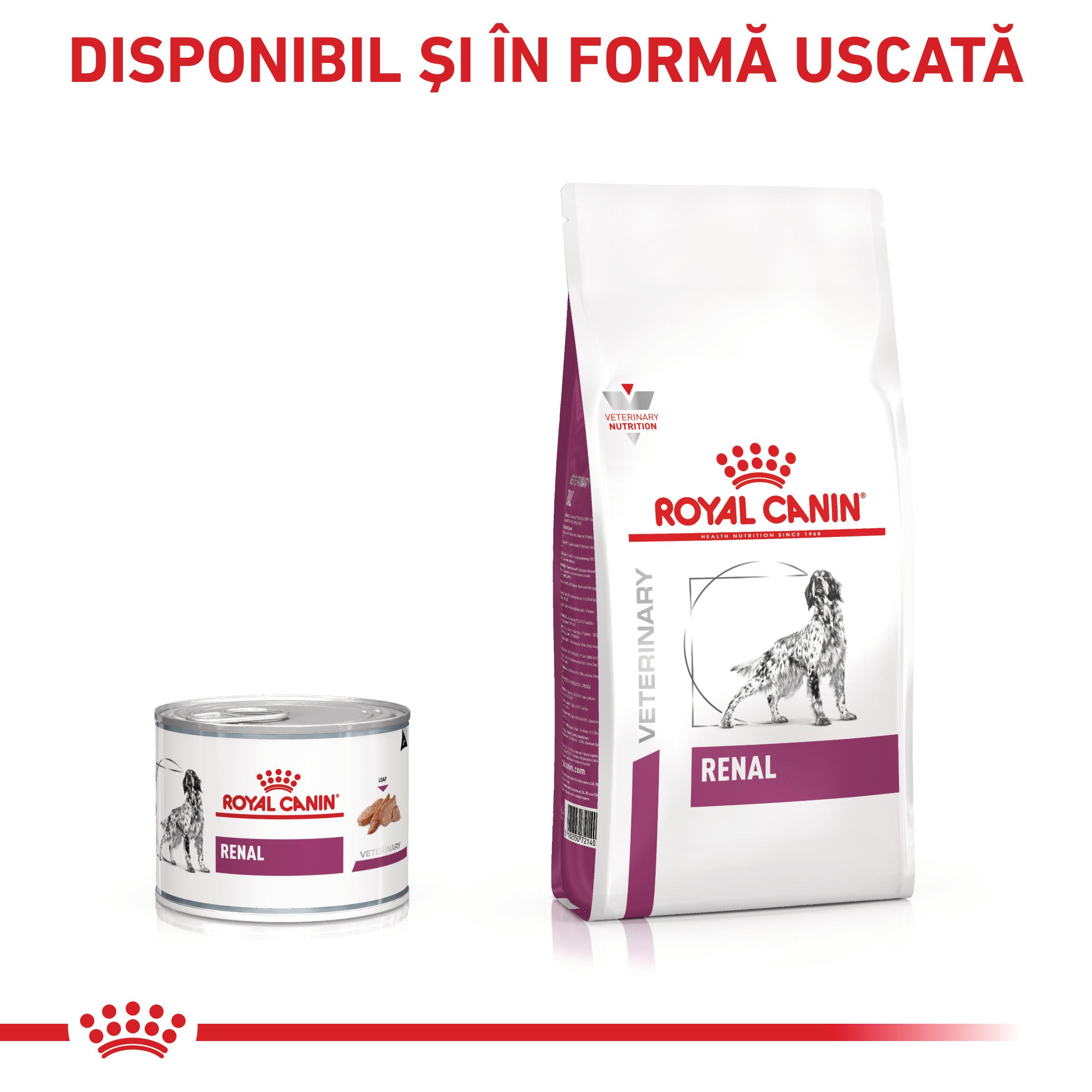 ROYAL CANIN VD Renal, XS-XL, dietă veterinară, conservă hrană umedă câini, sistem renal, (pate), 410g