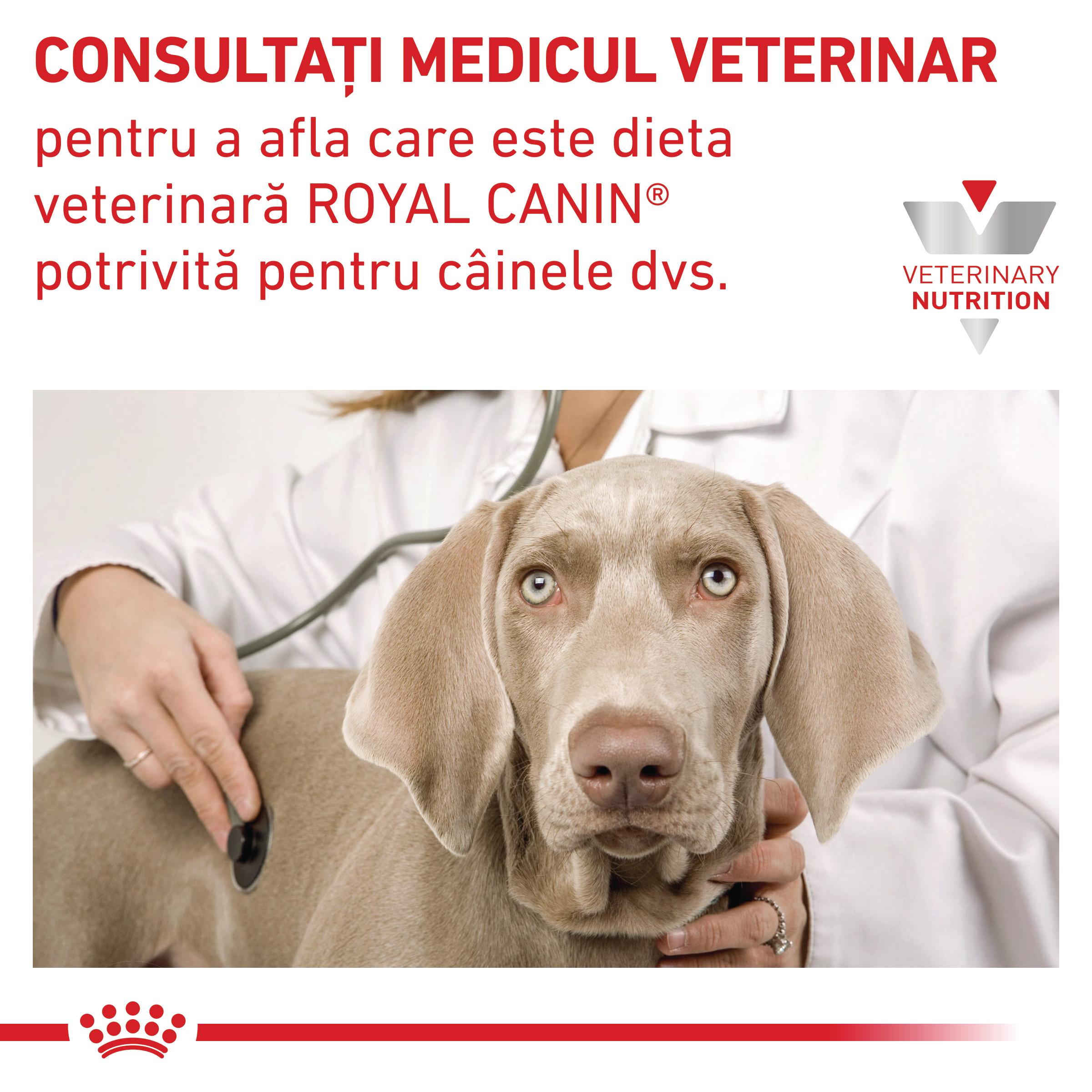 ROYAL CANIN VD Cardiac, XS-XL, dietă veterinară, hrană uscată câini, sistem cardio-vascular, 2kg