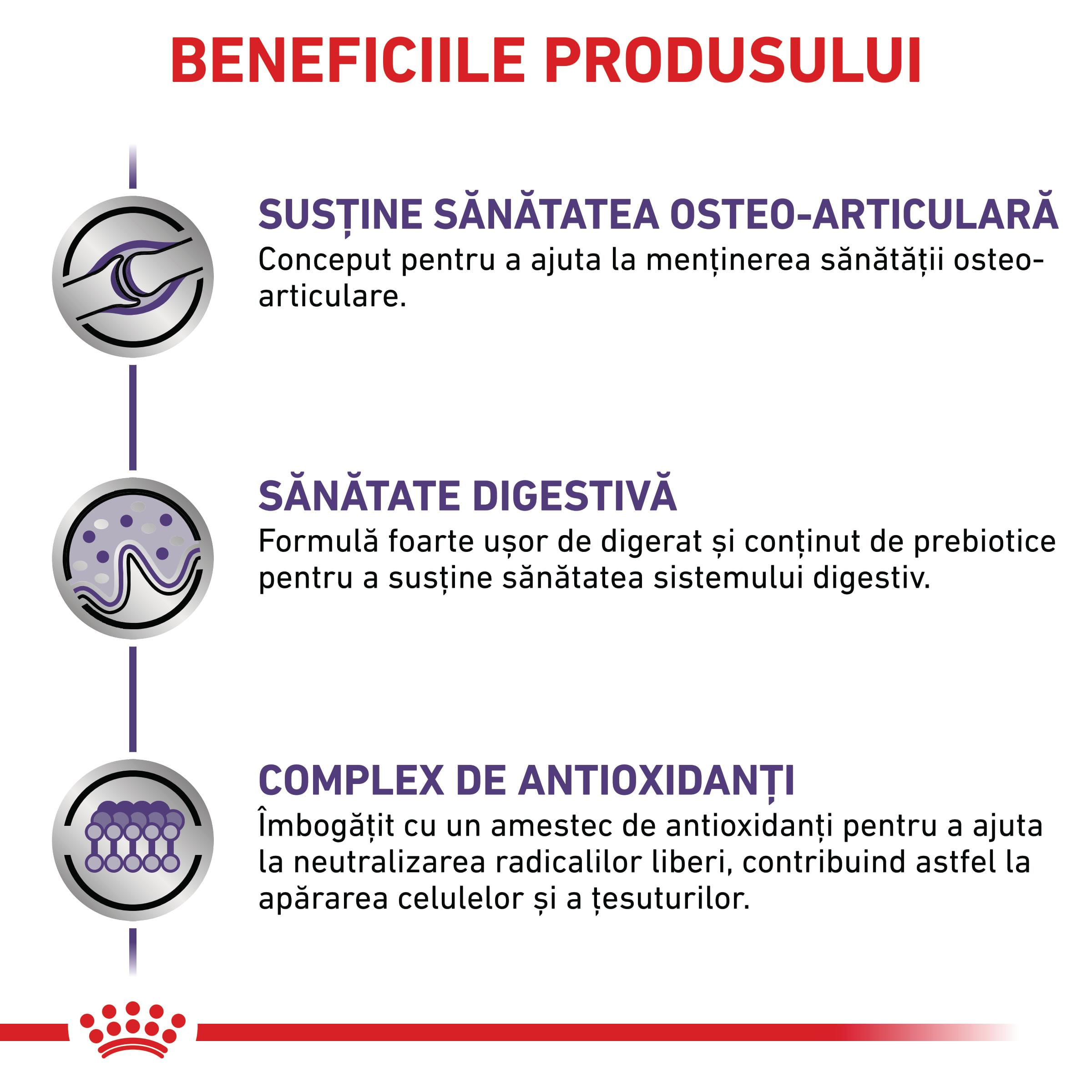 ROYAL CANIN VD Adult Large Dog, L-XL, dietă veterinară, hrană uscată câini, 13kg