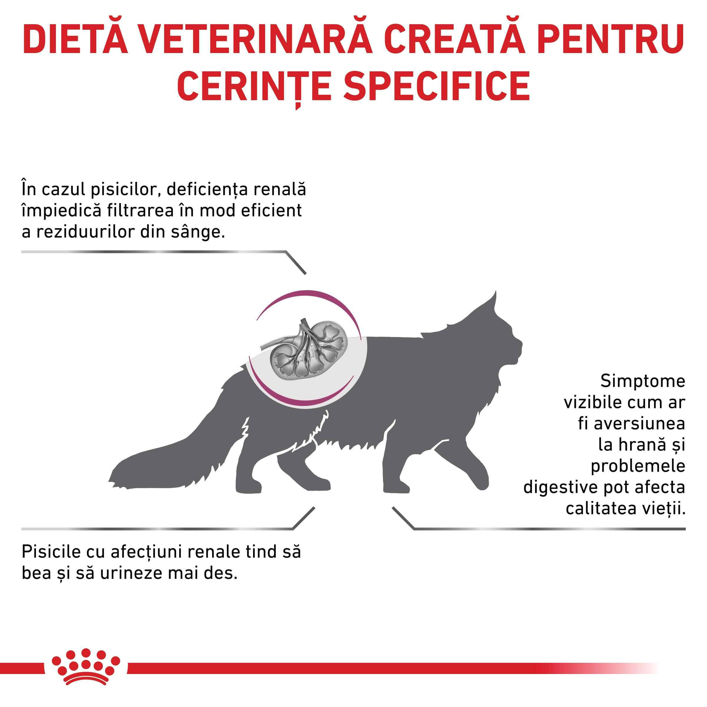 ROYAL CANIN VD Renal, dietă veterinară, hrană uscată pisici, sistem renal, 400g