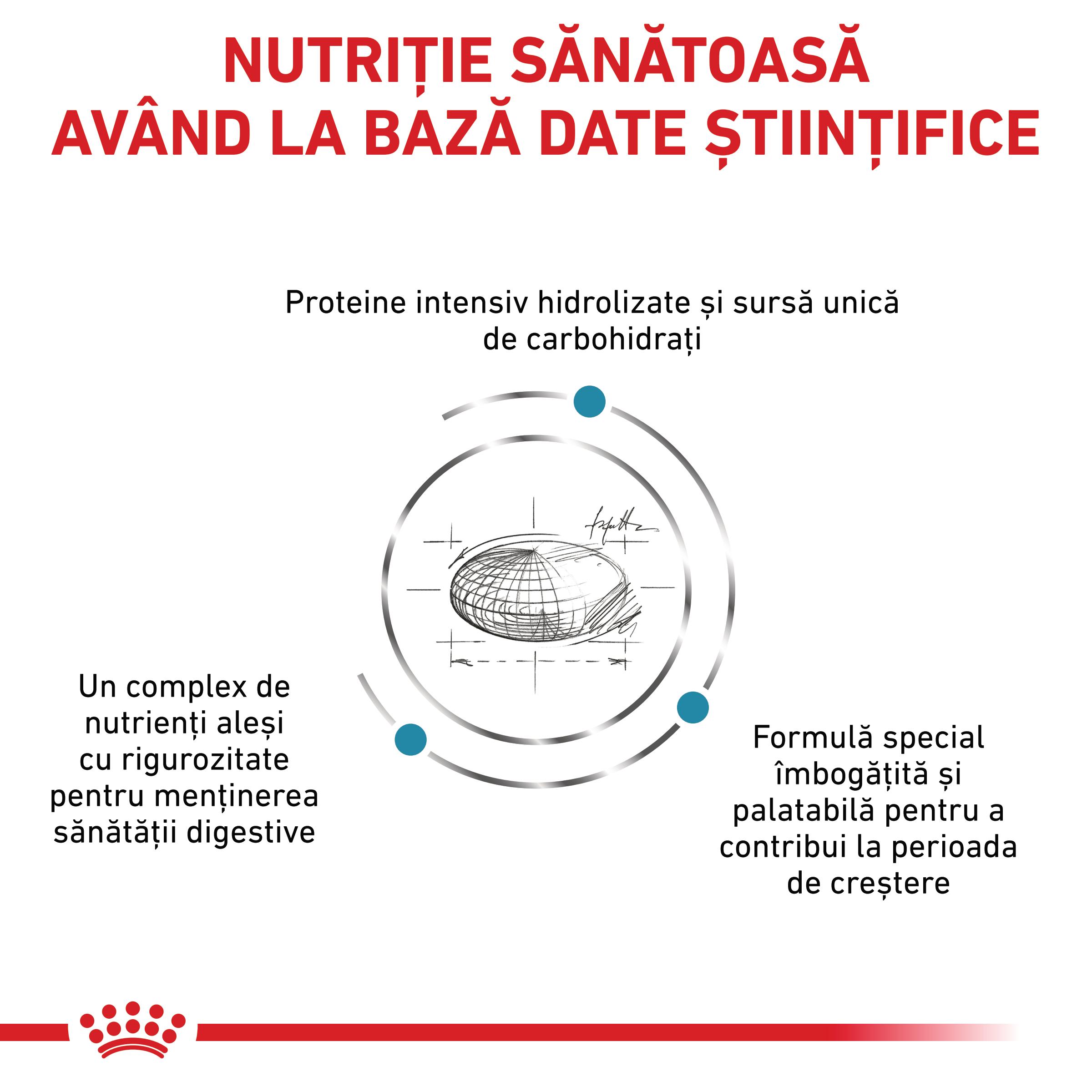ROYAL CANIN VD Hypoallergenic Puppy, XS-XL, dietă veterinară, hrană uscată câini junior, afecțiuni dermatologice, 3.5kg
