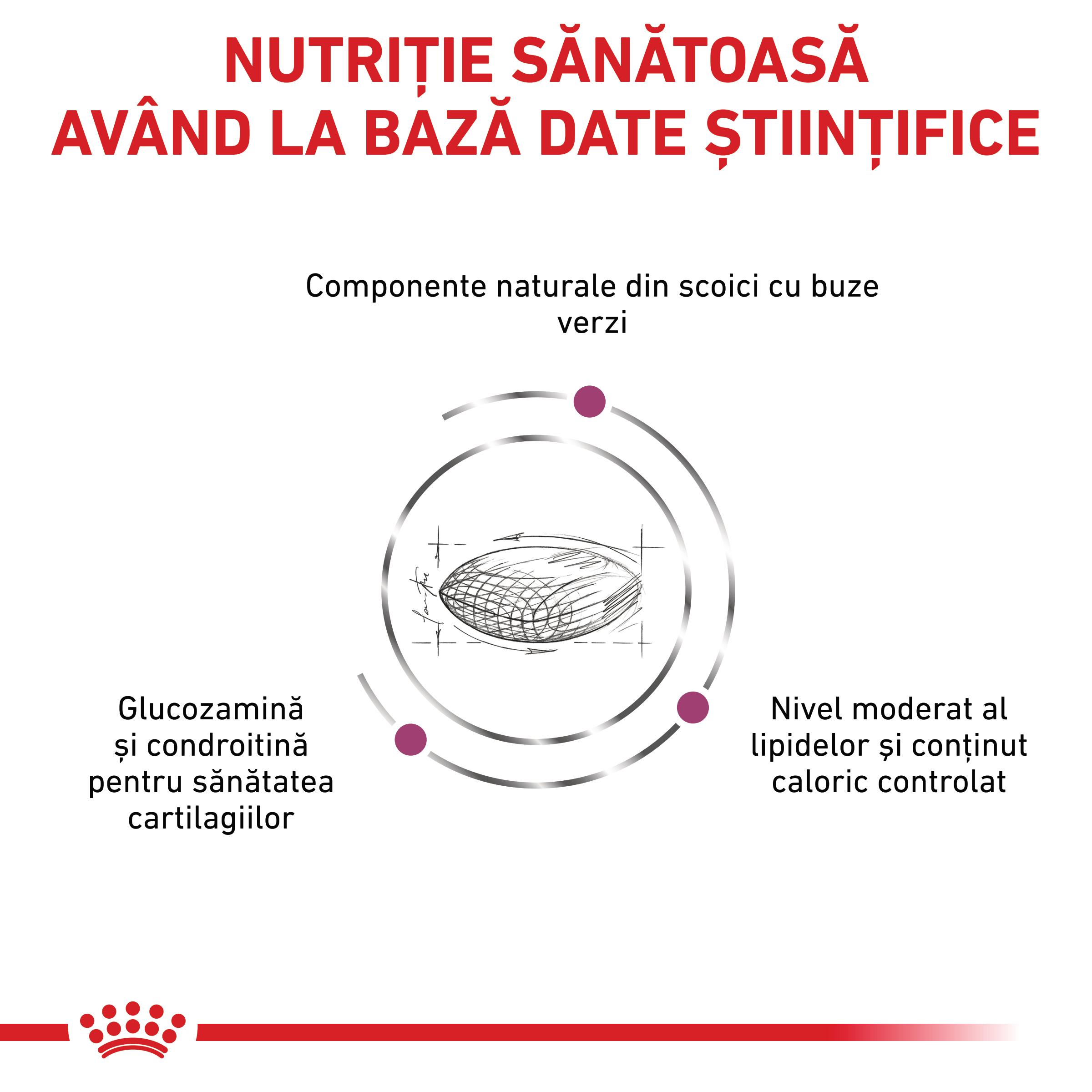 ROYAL CANIN VD Mobility Support, XS-XL, dietă veterinară, hrană uscată câini, sistem articular, 12kg