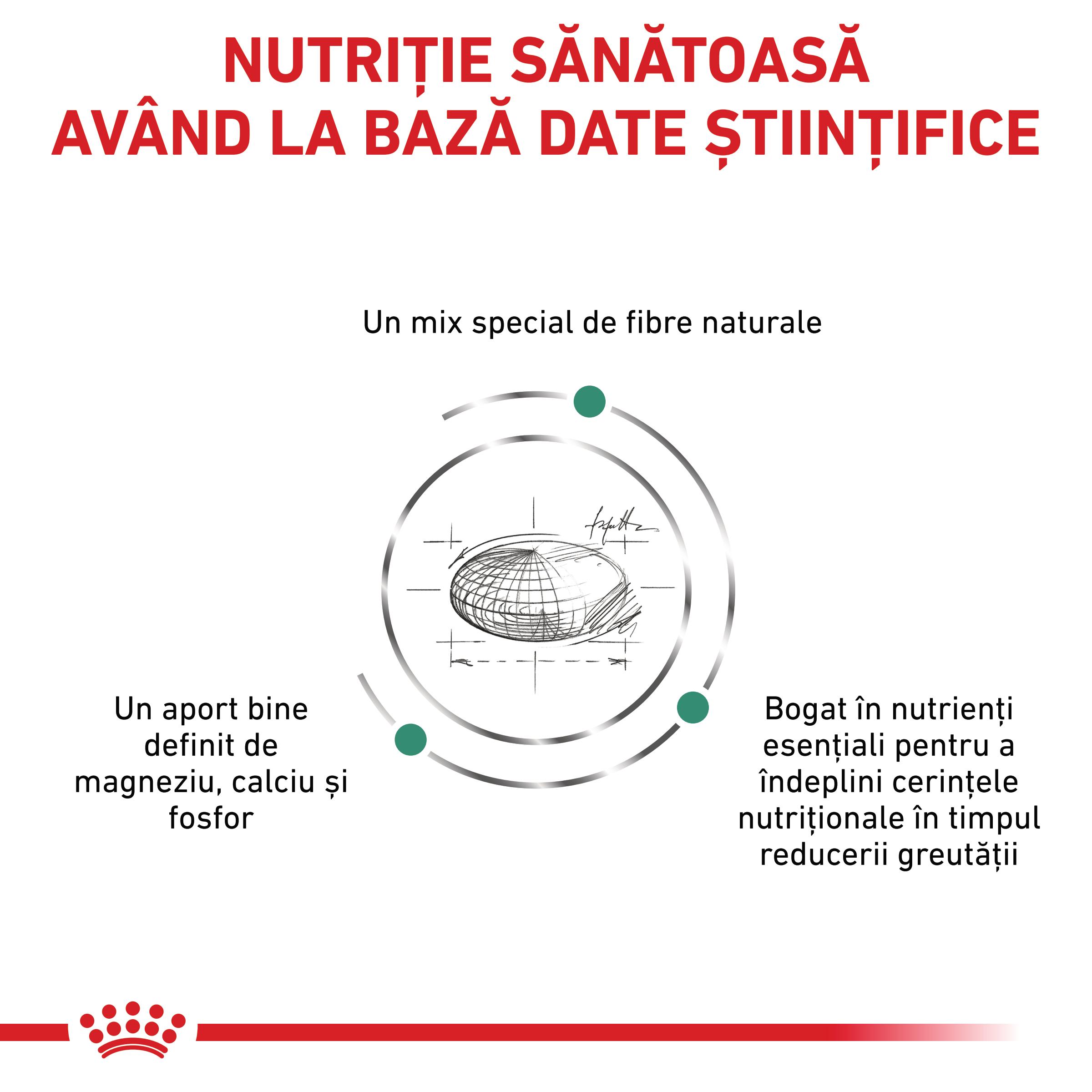 ROYAL CANIN VD Satiety Small Dog, XS-S, dietă veterinară, hrană uscată câini, obezitate, 1.5kg