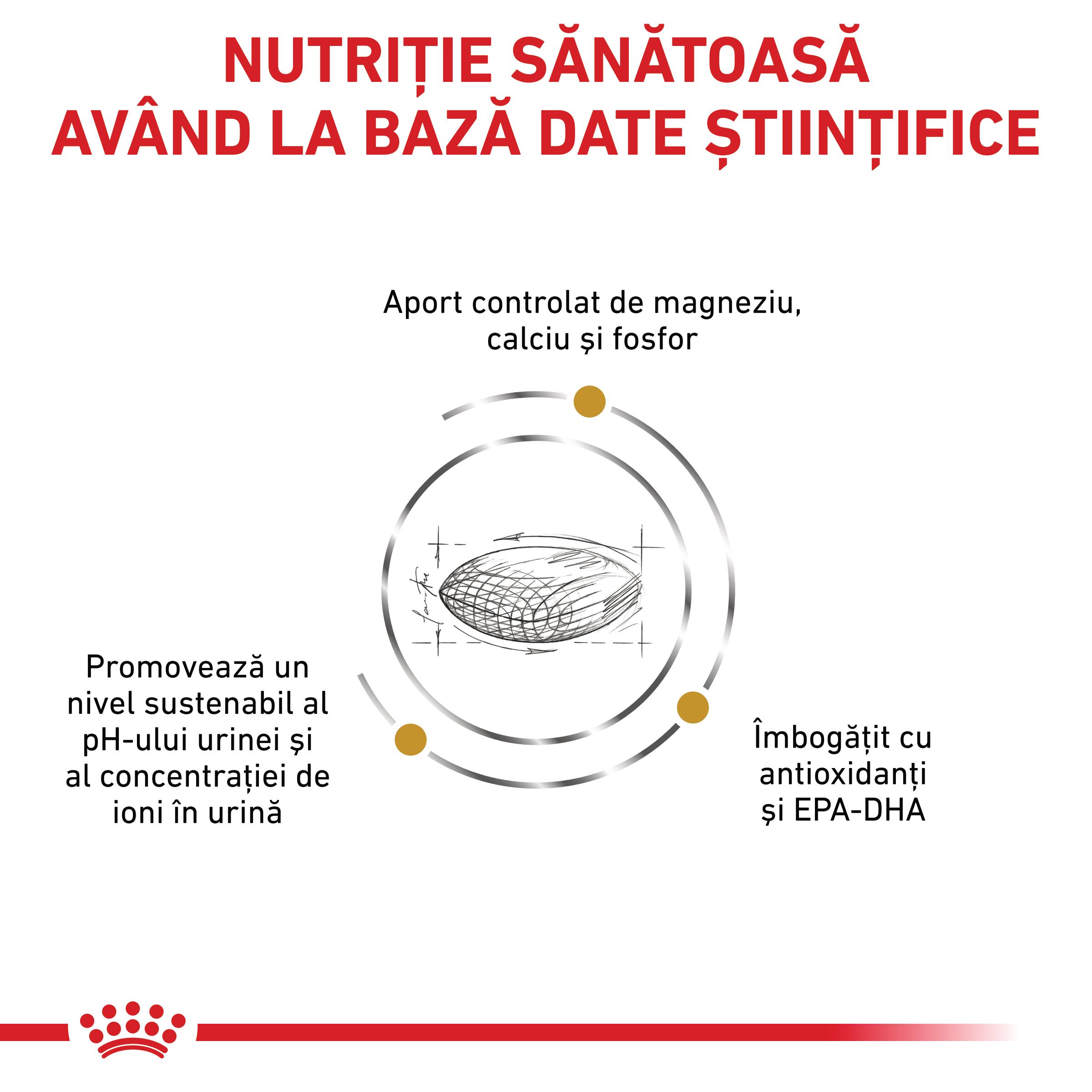 ROYAL CANIN VD Urinary S/O, M-XL, dietă veterinară, hrană uscată câini, sistem urinar, 13kg