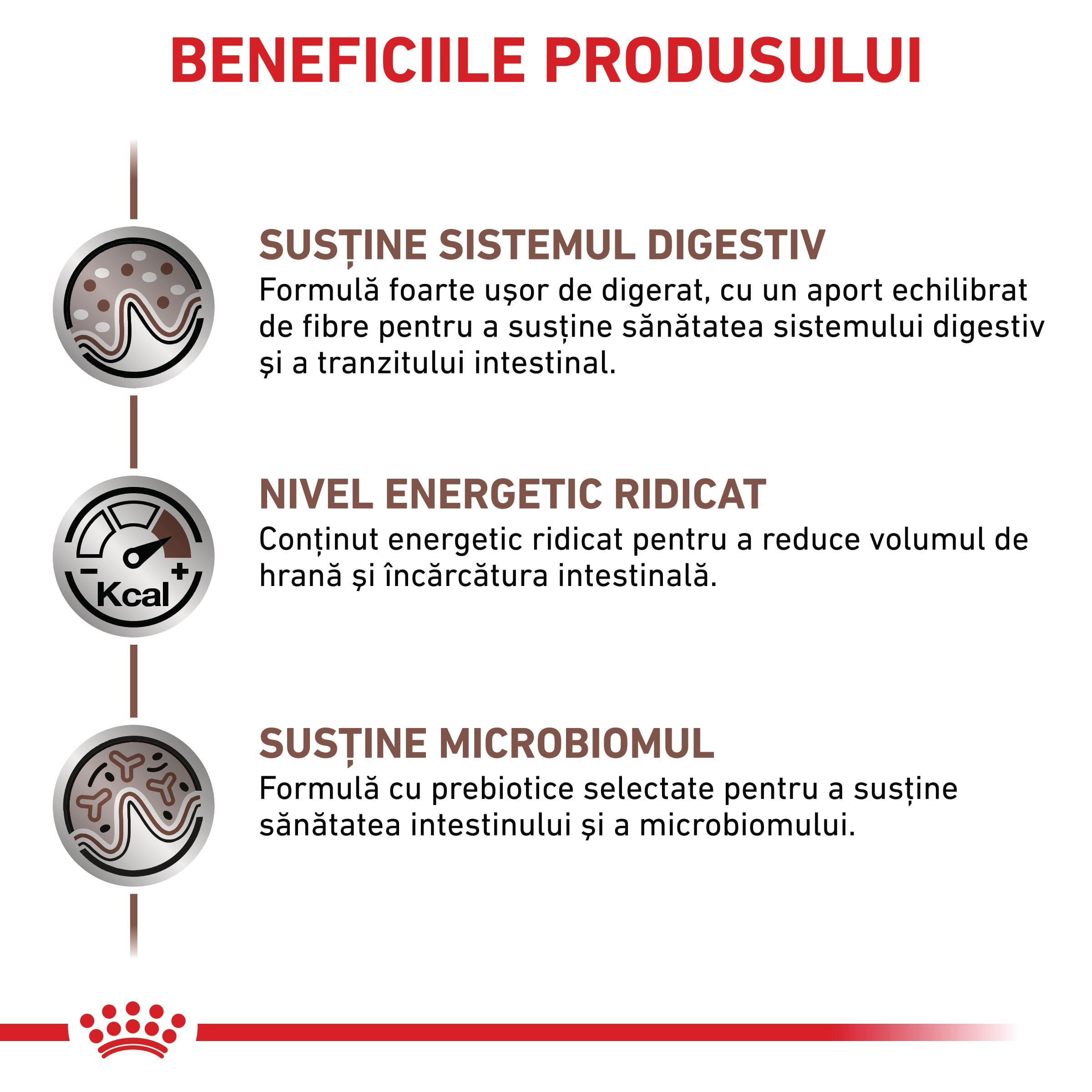 ROYAL CANIN VD Gastrointestinal, dietă veterinară, hrană uscată pisici, sistem digestiv, 4kg