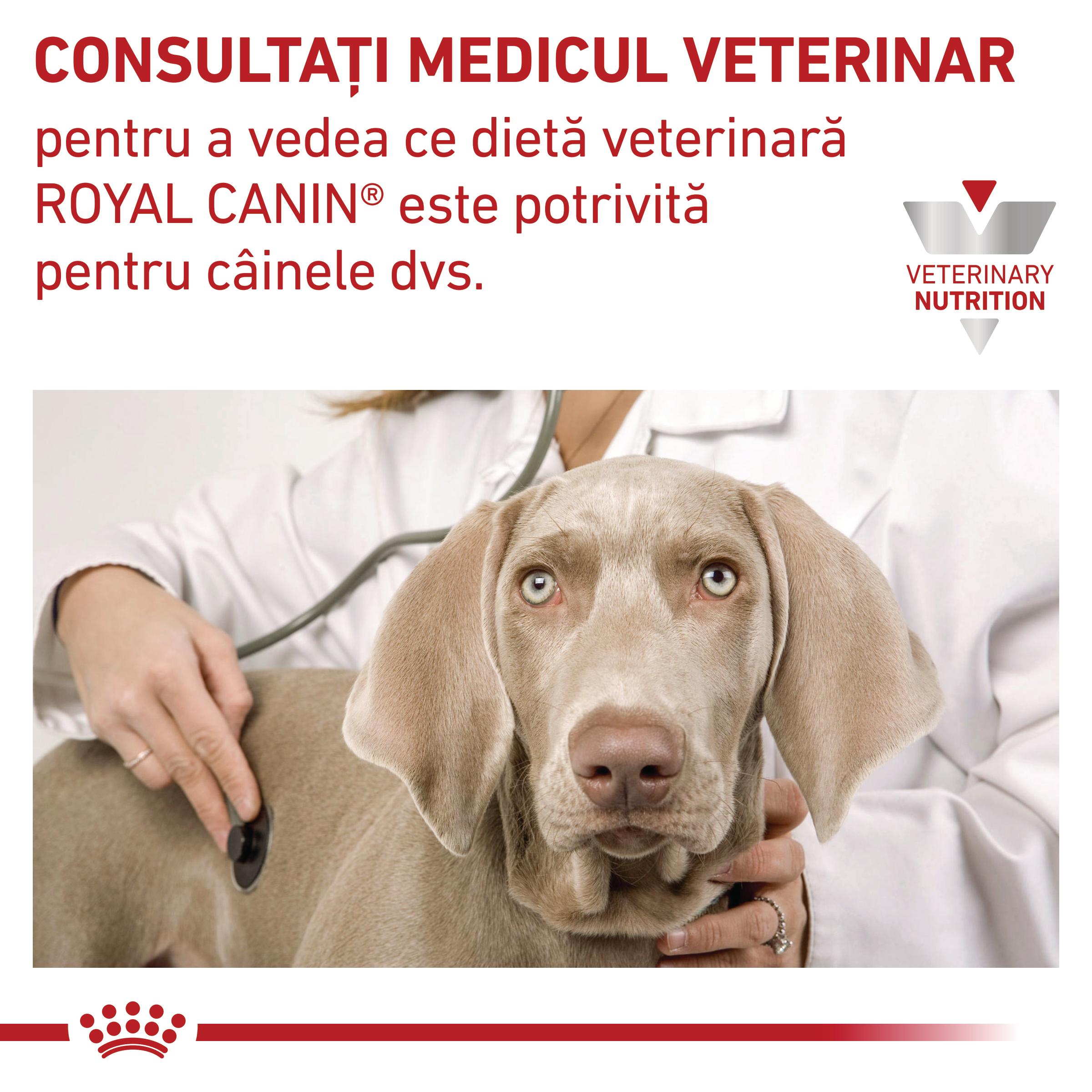 ROYAL CANIN VD Urinary S/O, M-XL, dietă veterinară, hrană uscată câini, sistem urinar, 13kg