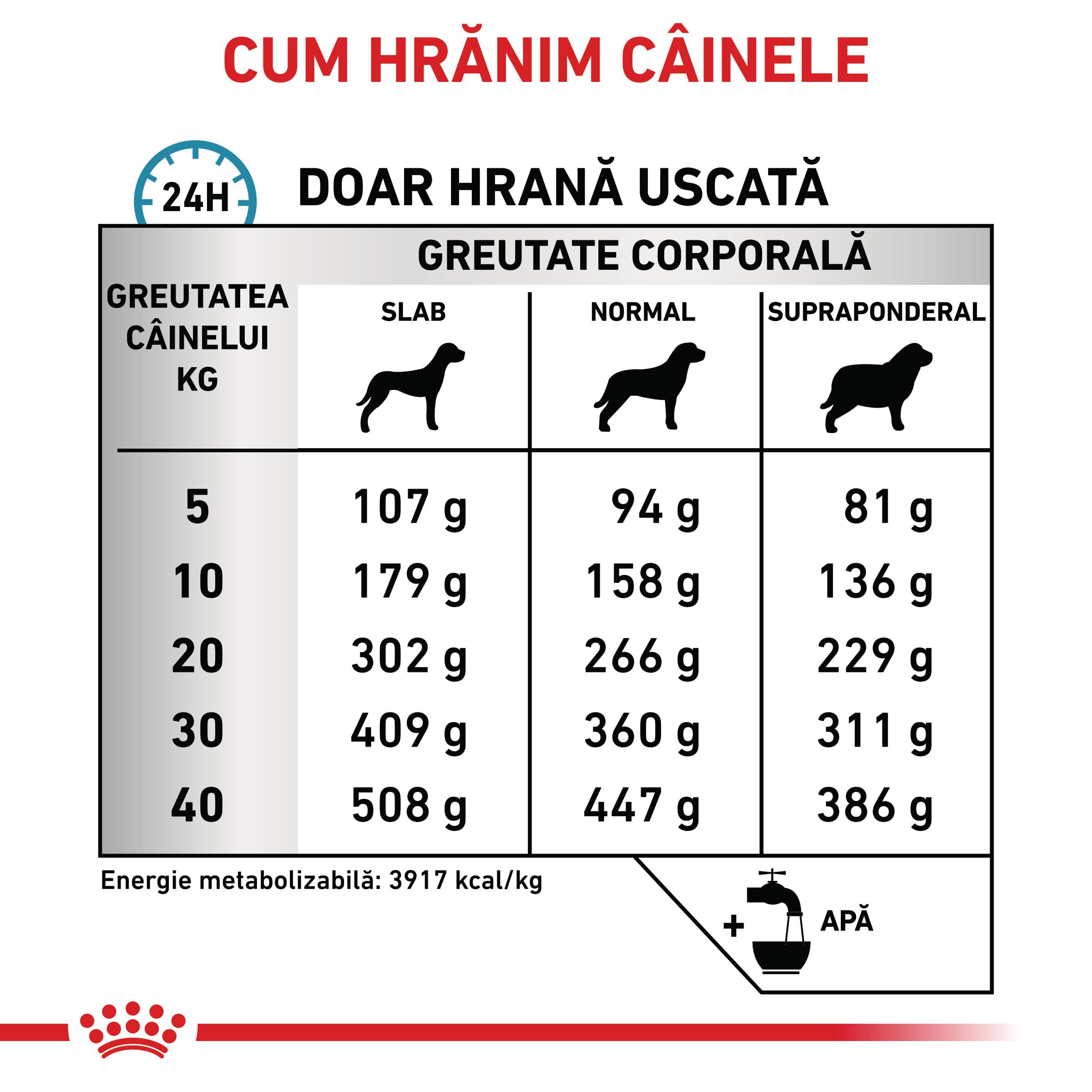 ROYAL CANIN VD Anallergenic, XS-XL, dietă veterinară, hrană uscată câini, alergii alimentare, 8kg