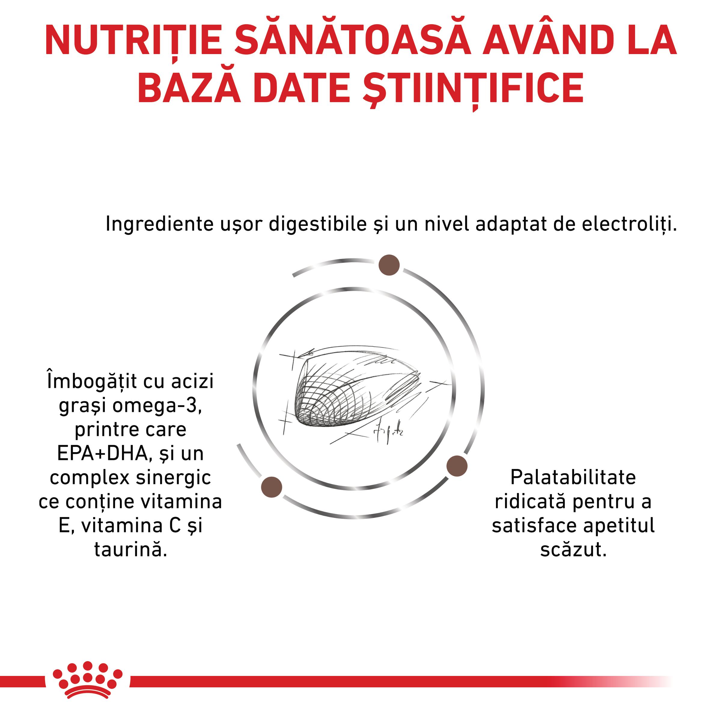 ROYAL CANIN VD Gastrointestinal, dietă veterinară, hrană uscată pisici, sistem digestiv, 4kg