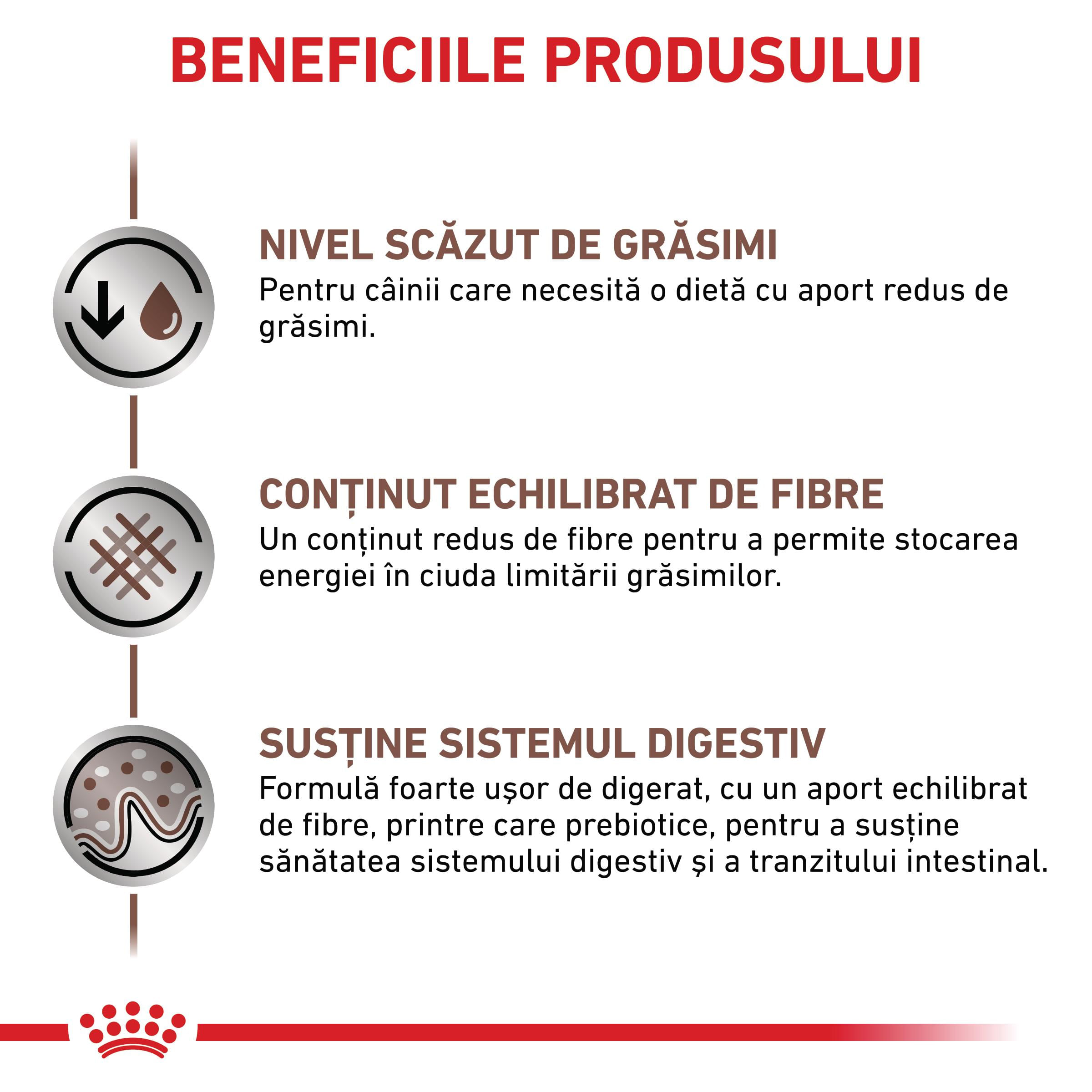 ROYAL CANIN VD Gastrointestinal Low Fat, XS-XL, dietă veterinară, hrană uscată câini, sistem digestiv, 6kg