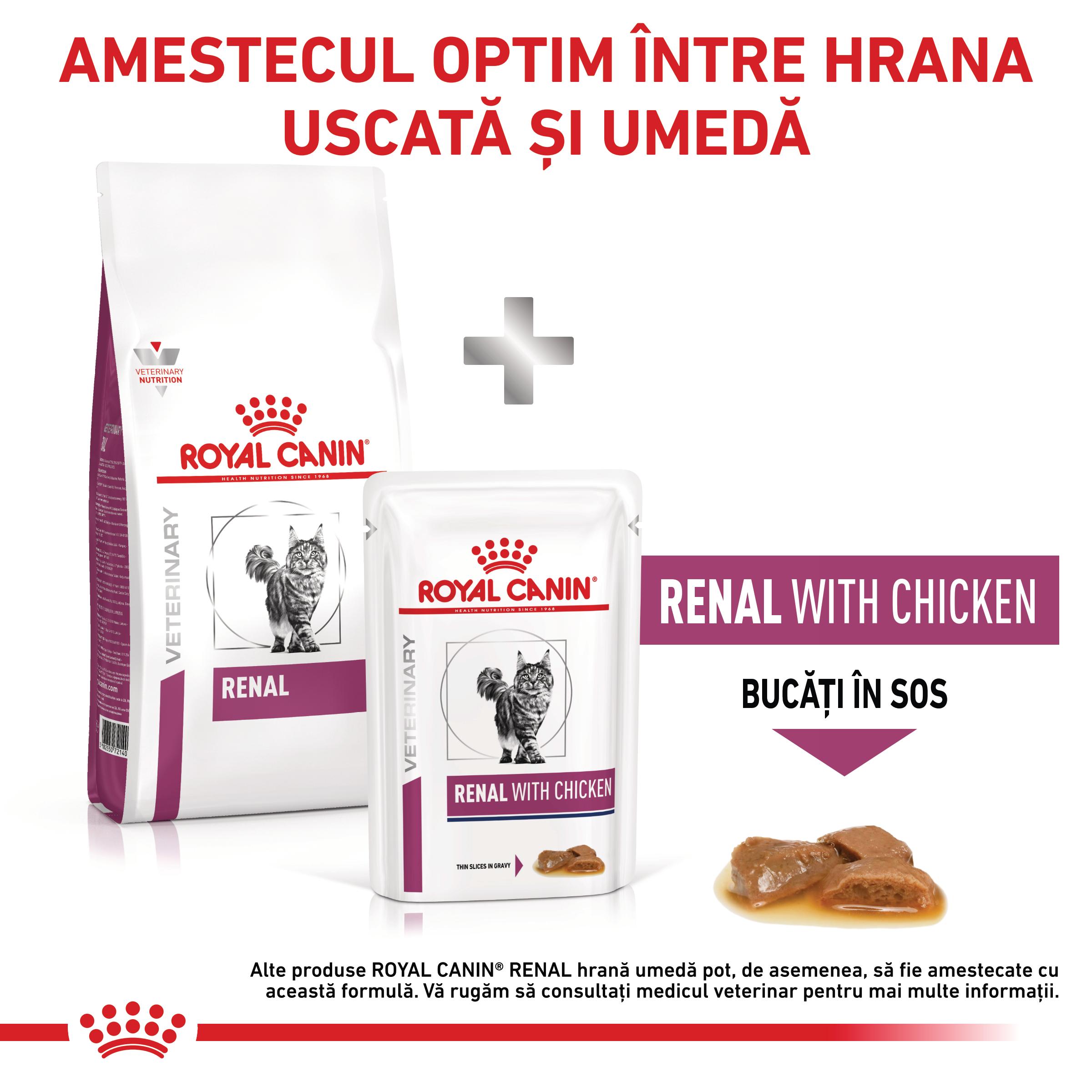 ROYAL CANIN VD Renal, dietă veterinară, hrană uscată pisici, sistem renal, 400g