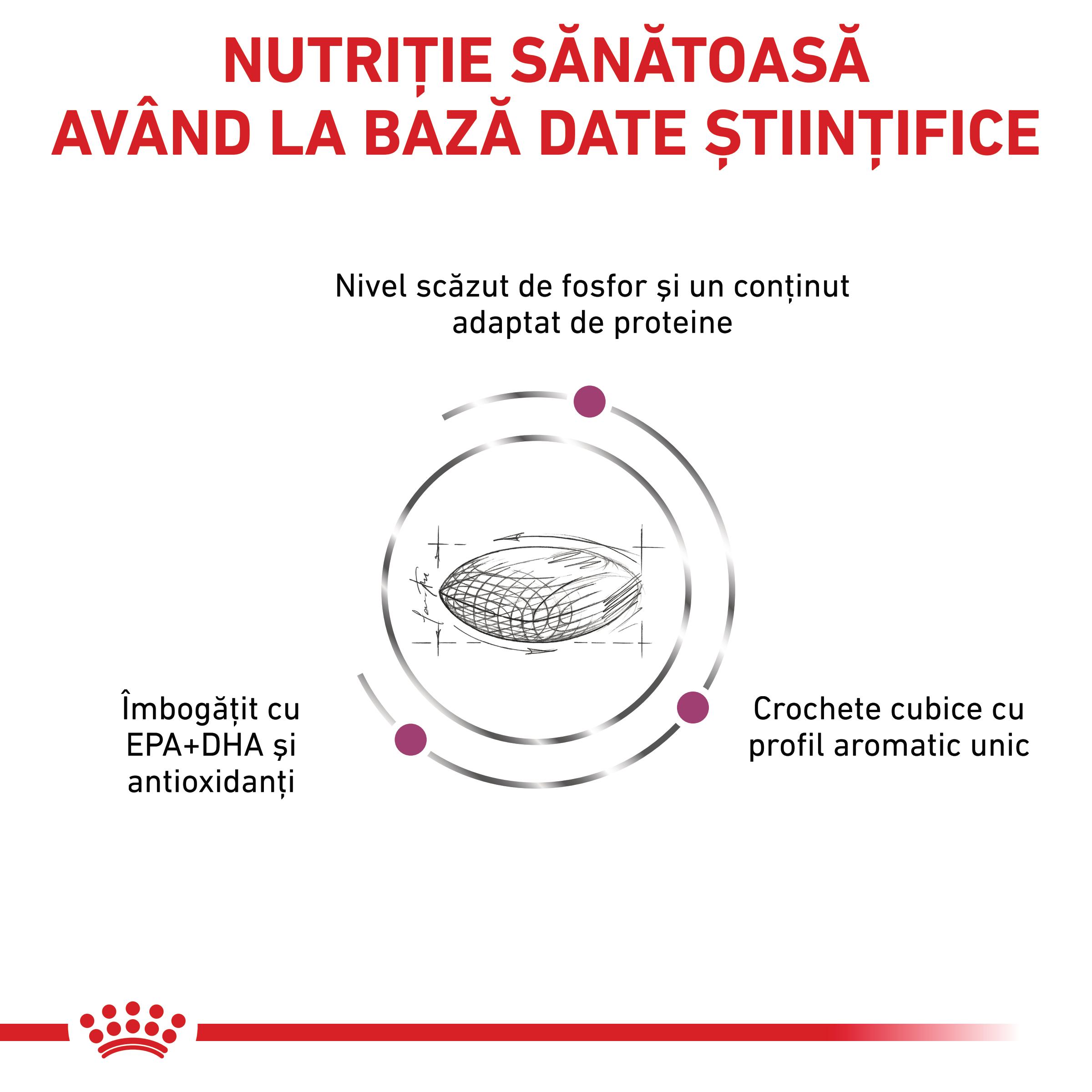 ROYAL CANIN VD Renal, XS-XL, dietă veterinară, hrană uscată câini, sistem renal, 7kg