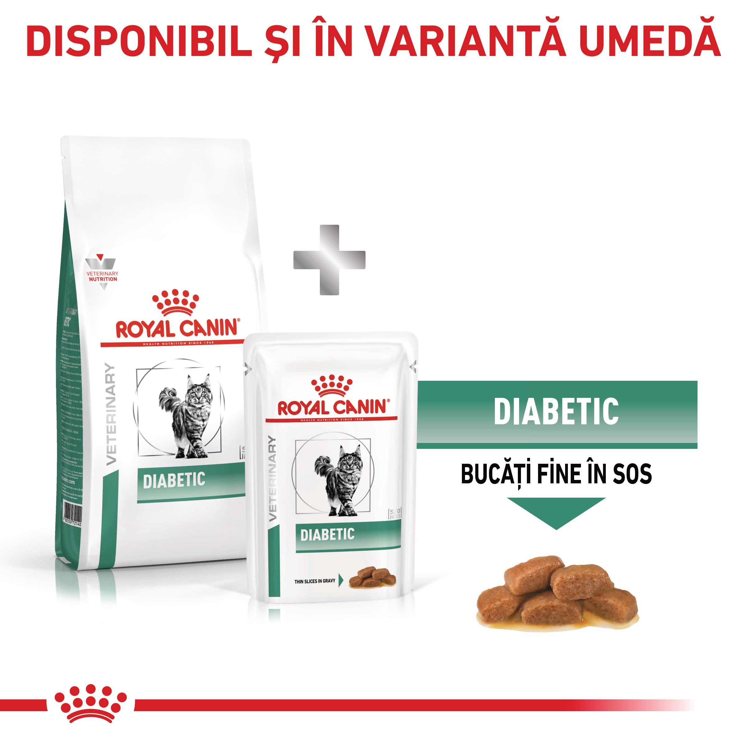ROYAL CANIN VD Diabetic, dietă veterinară, hrană uscată pisici, diabet, 3.5kg