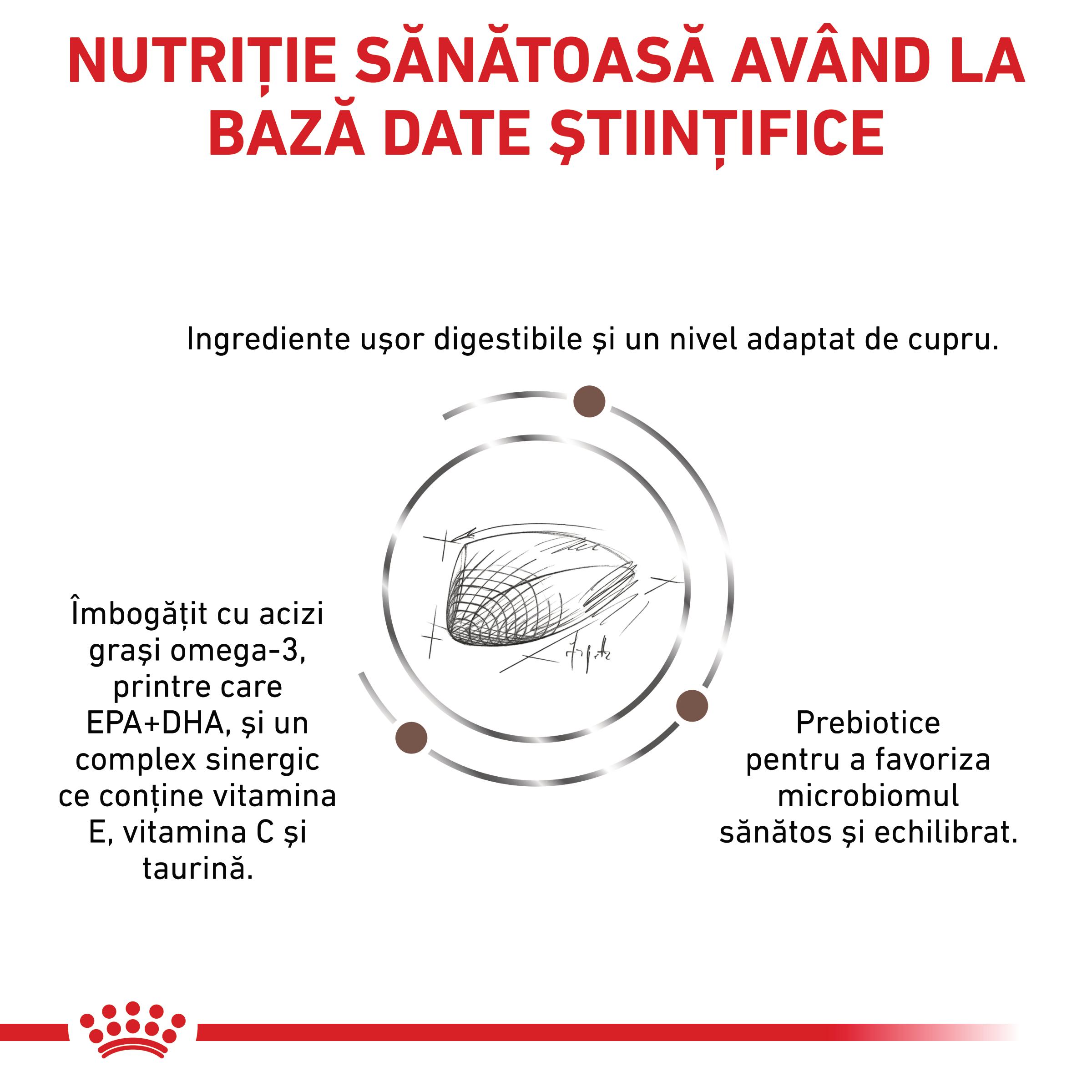ROYAL CANIN VD Hepatic, XS-XL, dietă veterinară, hrană uscată câini, suport hepatic, 12kg