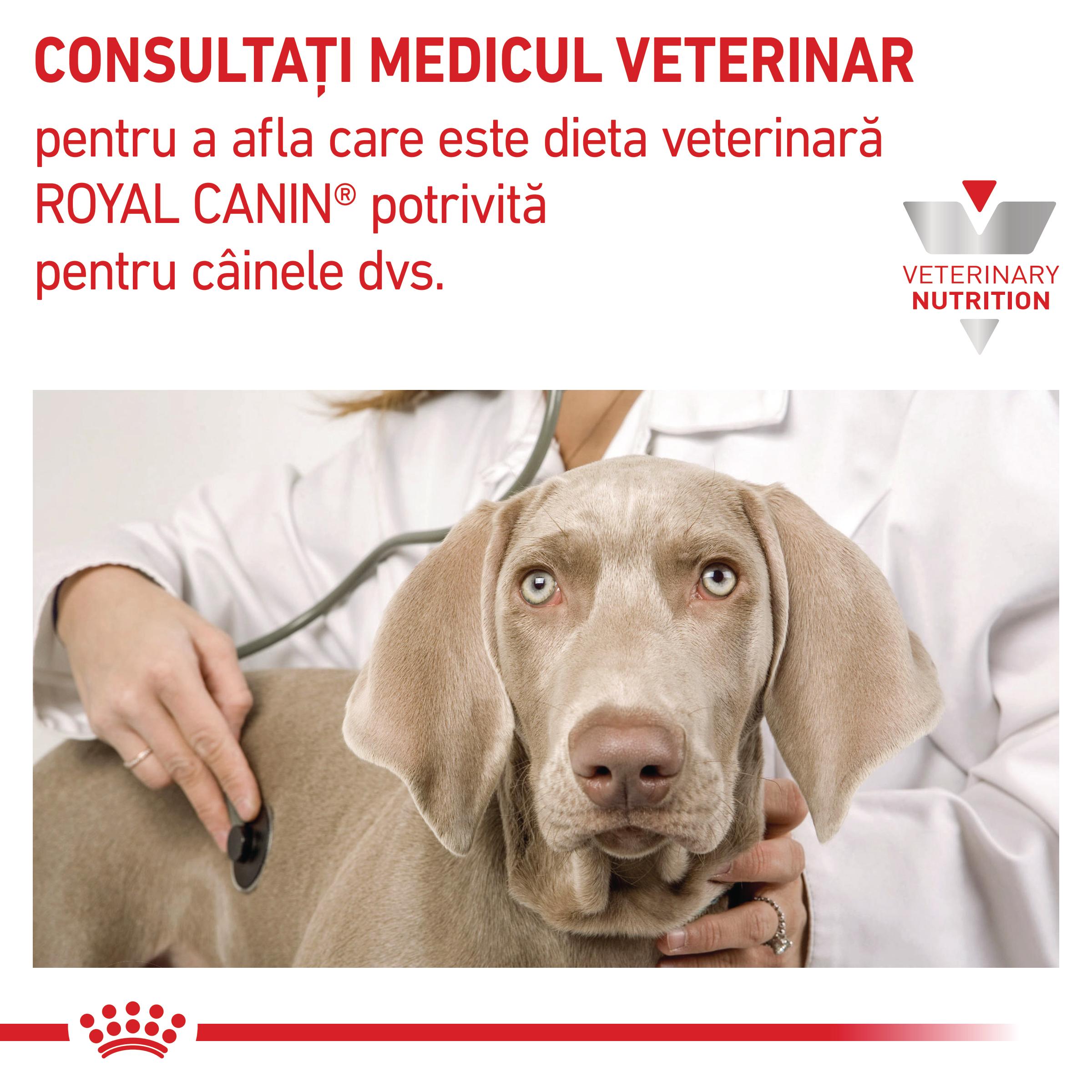 ROYAL CANIN VD Mobility Support, XS-XL, dietă veterinară, hrană uscată câini, sistem articular, 2kg