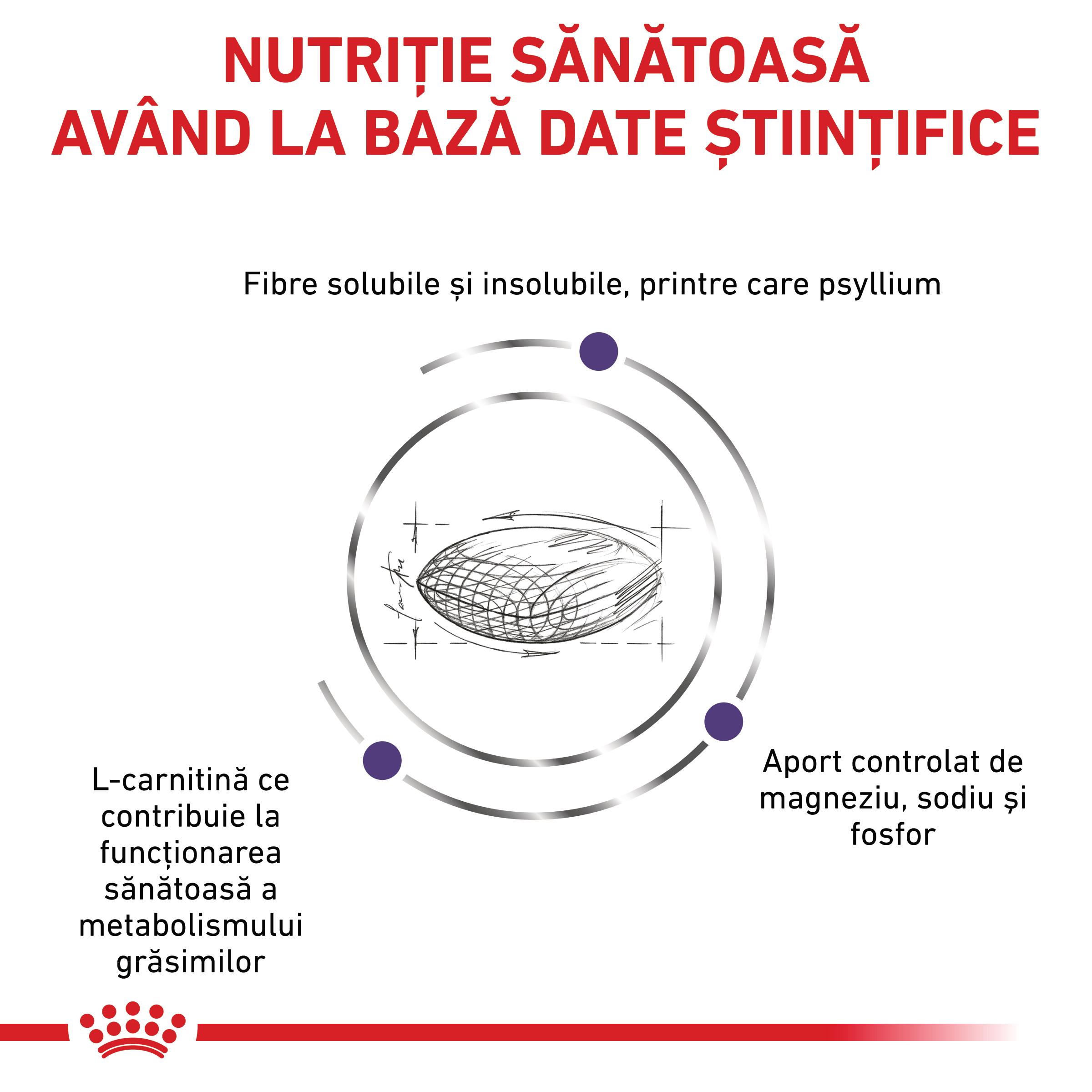 ROYAL CANIN VD Neutered Satiety Balance, dietă veterinară, hrană uscată pisici, managementul greutății, 3.5kg