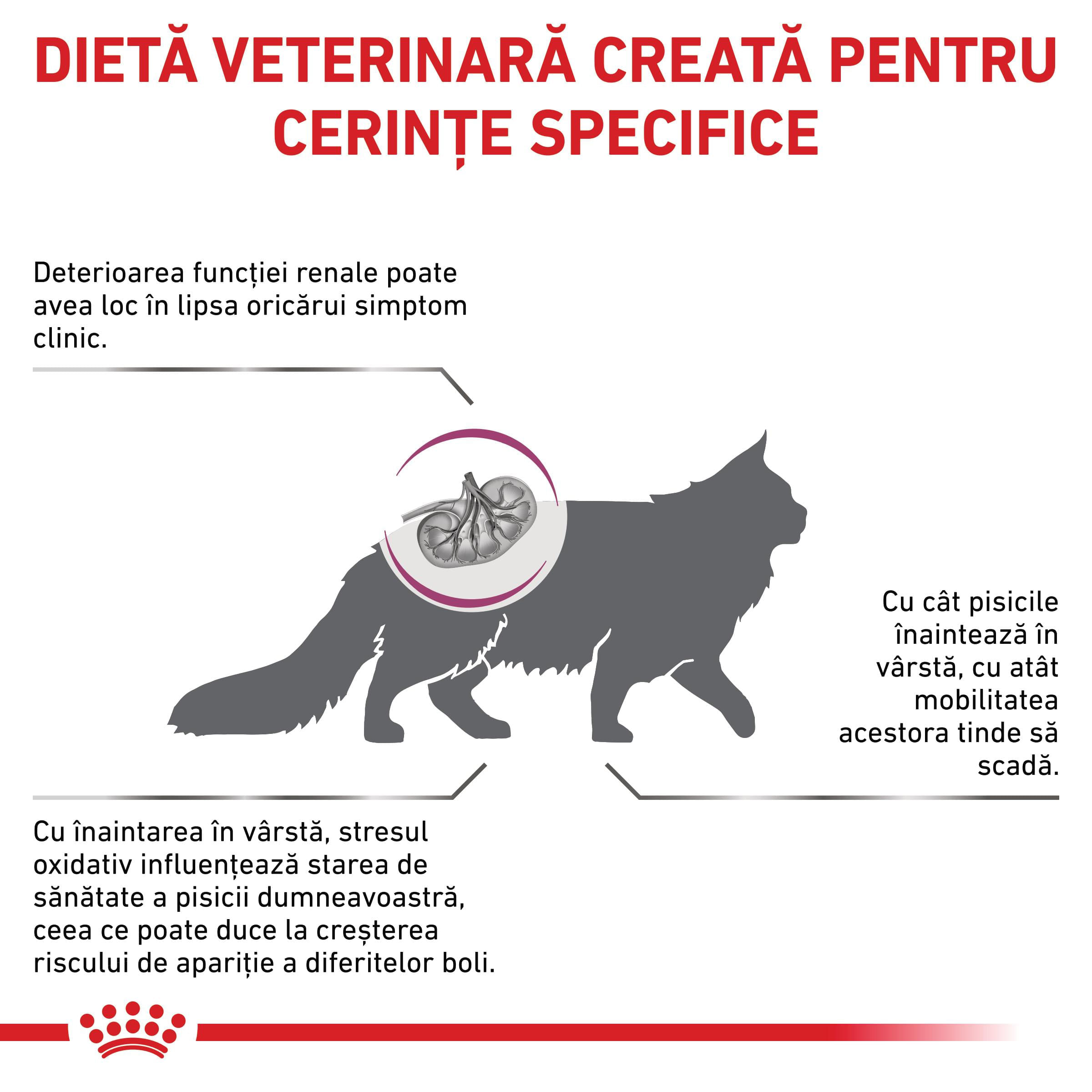 ROYAL CANIN VD Early Renal, dietă veterinară, hrană uscată pisici, sistem renal, 1.5kg