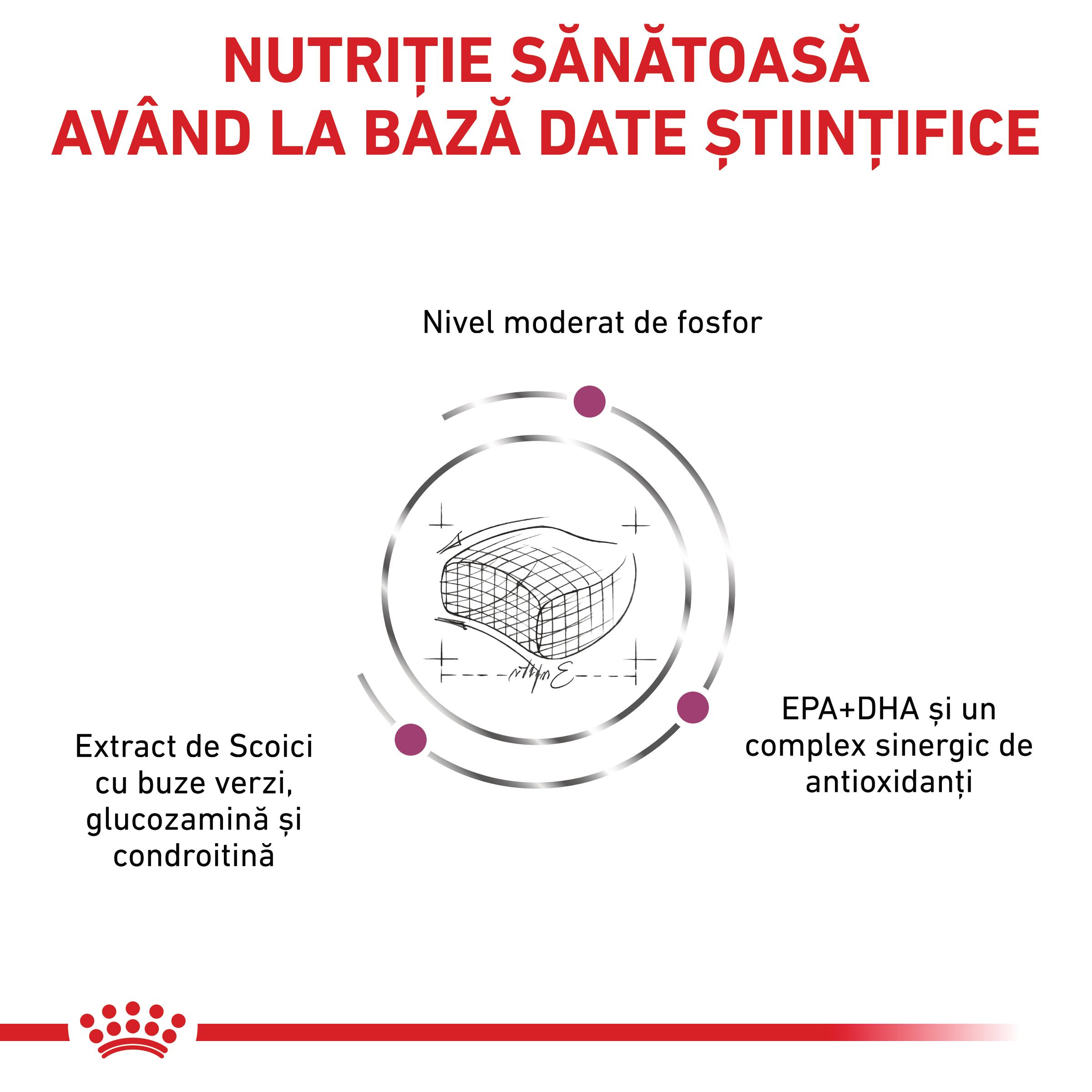 ROYAL CANIN VD Early Renal, dietă veterinară, hrană uscată pisici, sistem renal, 1.5kg