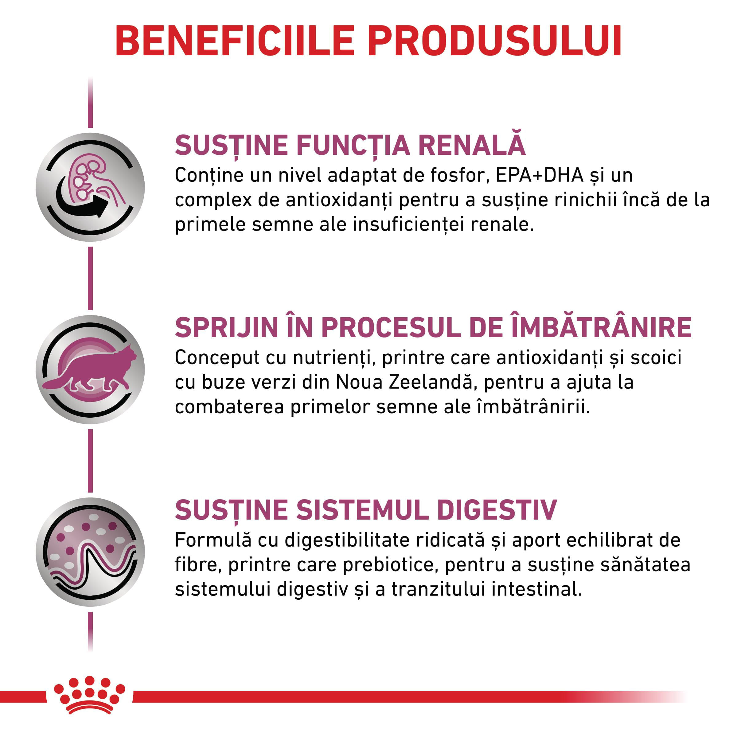 ROYAL CANIN VD Early Renal, dietă veterinară, hrană uscată pisici, sistem renal, 3.5kg