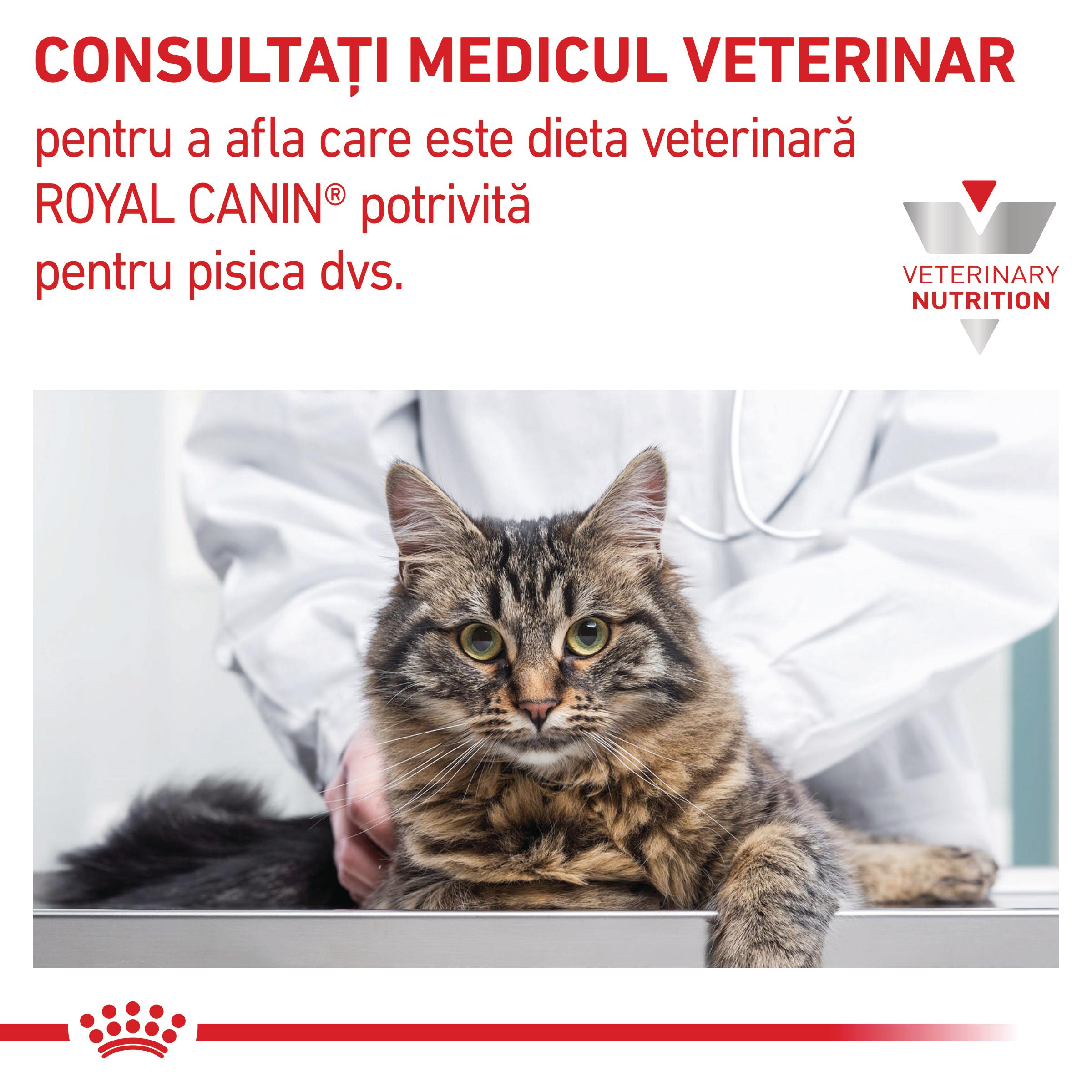 ROYAL CANIN VD Early Renal, dietă veterinară, hrană uscată pisici, sistem renal, 3.5kg