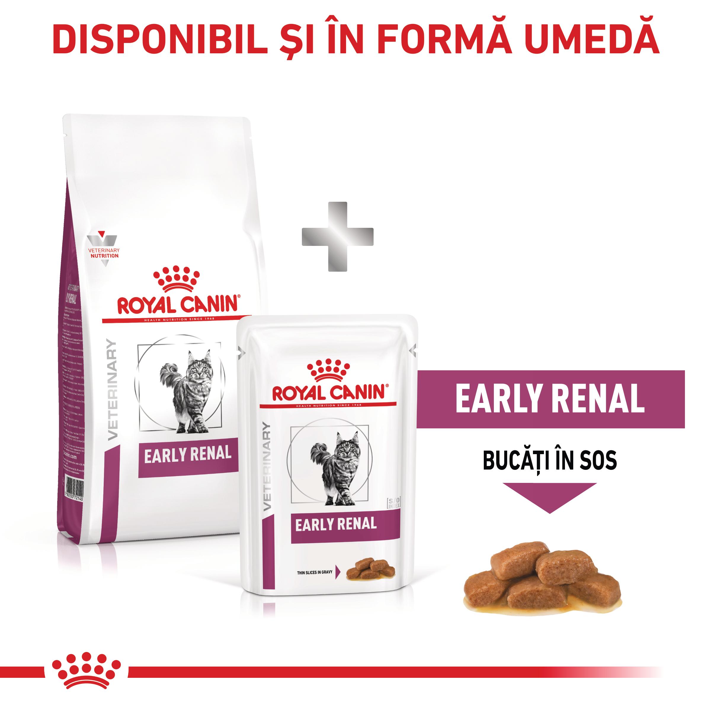 ROYAL CANIN VD Early Renal, dietă veterinară, hrană uscată pisici, sistem renal, 3.5kg