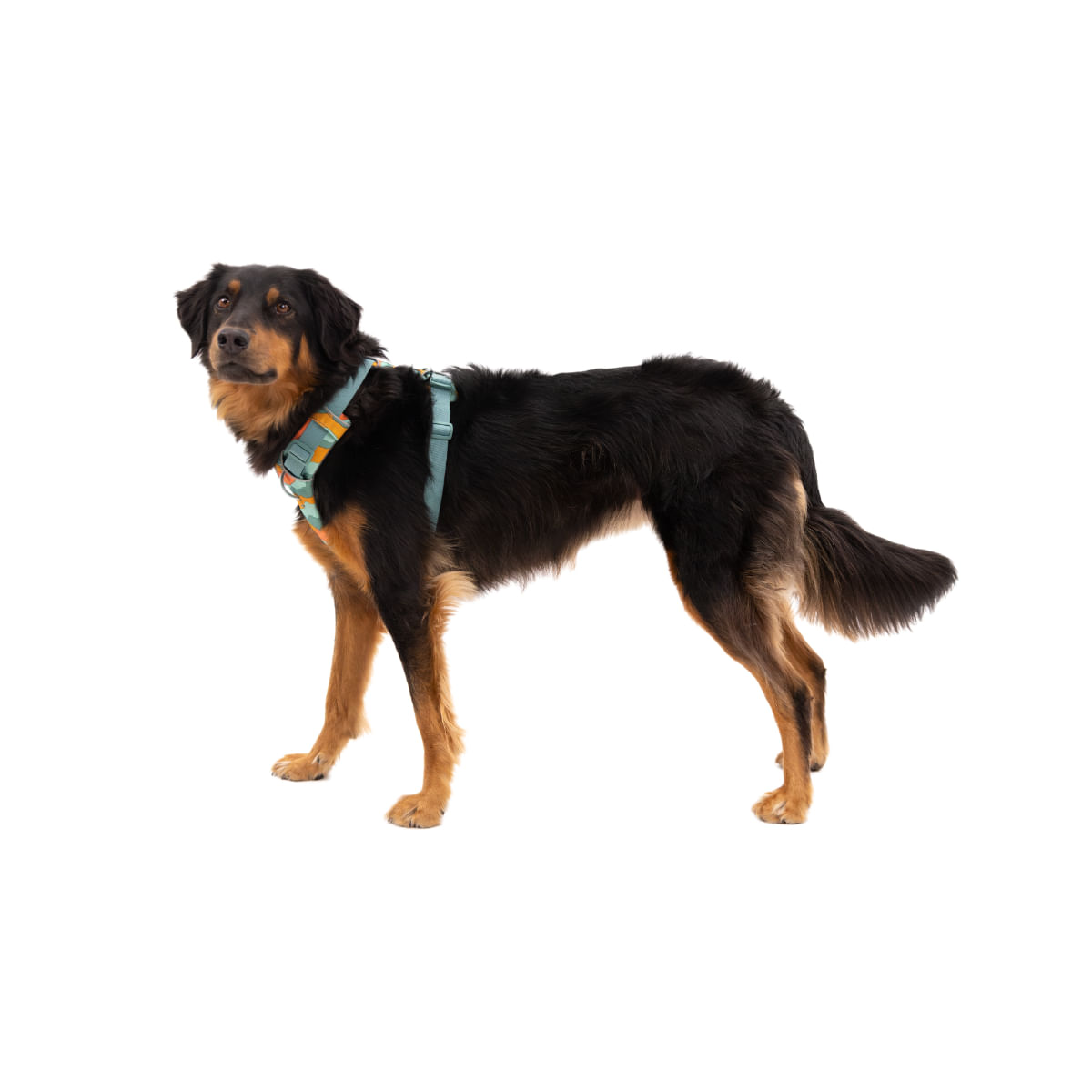 RUFFWEAR Front Rage, ham prindere dublă(piept&spate) dresaj câini, ajustabil, reflectorizant RUFFWEAR Front Rage Spring Mountains, ham prindere dublă(piept&spate) dresaj câini, ajustabil, reflectorizant, verde și portocaliu, XS(33-43cm) - 2 | YEO