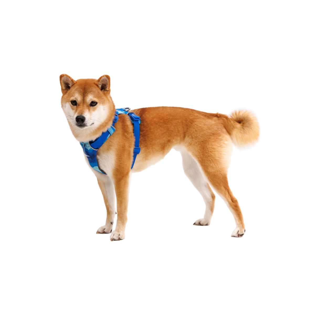 RUFFWEAR Front Rage, ham prindere dublă(piept&spate) dresaj câini, ajustabil, reflectorizant RUFFWEAR Front Rage Coastal Mountains, ham prindere dublă(piept&spate) dresaj câini, ajustabil, reflectorizant, albastru, S(56-69cm) - 2 | YEO