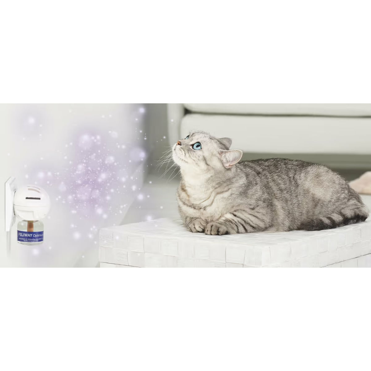 FELIWAY Optimum Diffuser și Rezervă, feromoni, sistem nervos &amp; calmante pisici, 1buc + 48ml