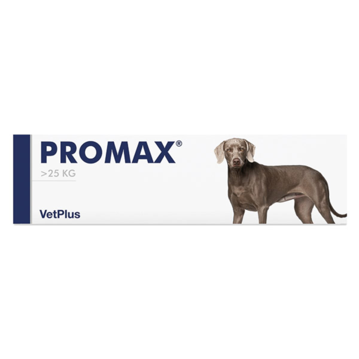 VETPLUS Promax Large Breed, supliment sistem digestiv & probiotice câini, pastă orală VETPLUS Promax Large Breed, L-XL, supliment sistem digestiv & probiotice câini, seringă gradată, 30ml pastă orală - 1 | YEO