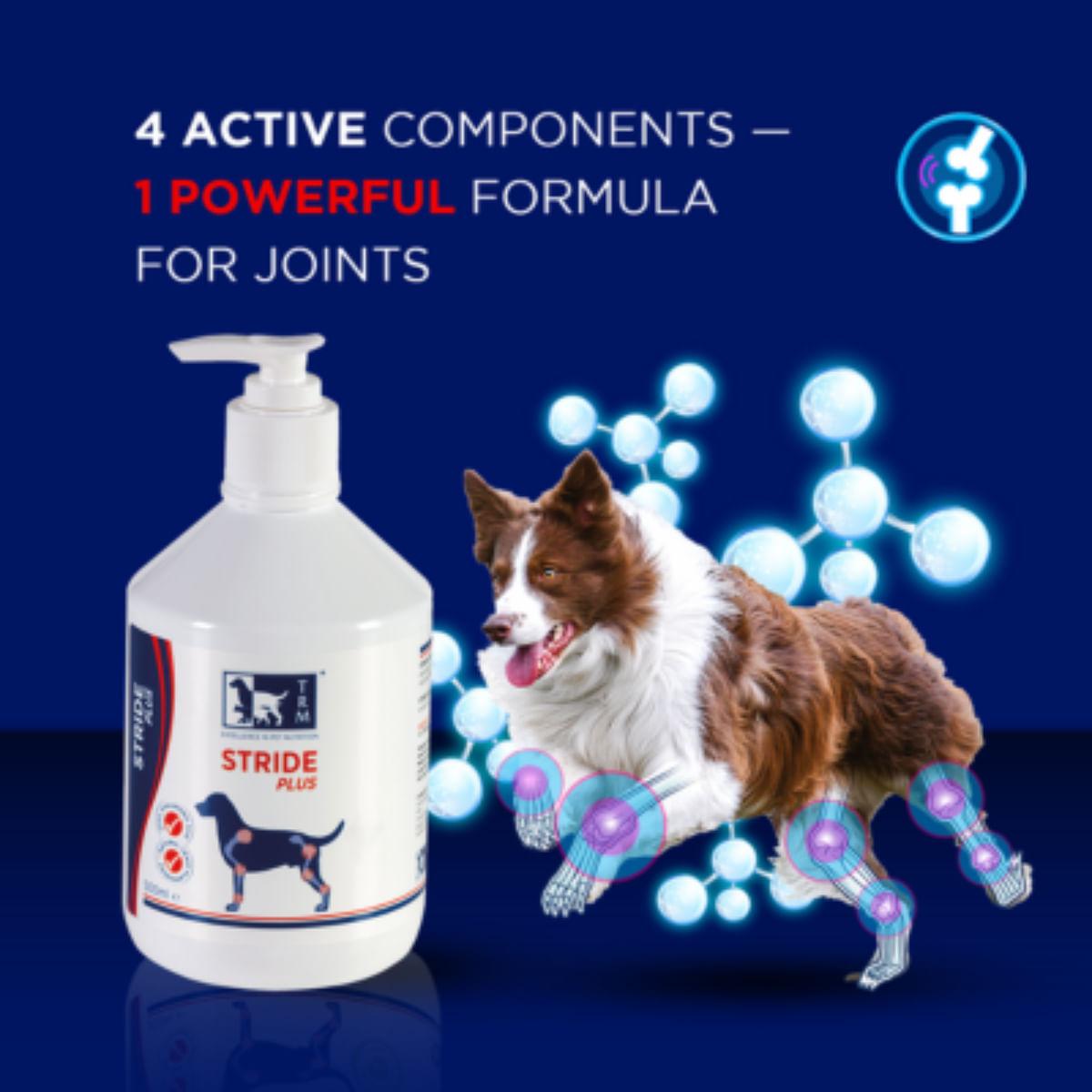 TRM Stride Plus, supliment sistem articular câini, suspensie orală TRM Stride Plus, XS-XL, supliment sistem articular câini, flacon, 200ml suspensie orală - 2 | YEO