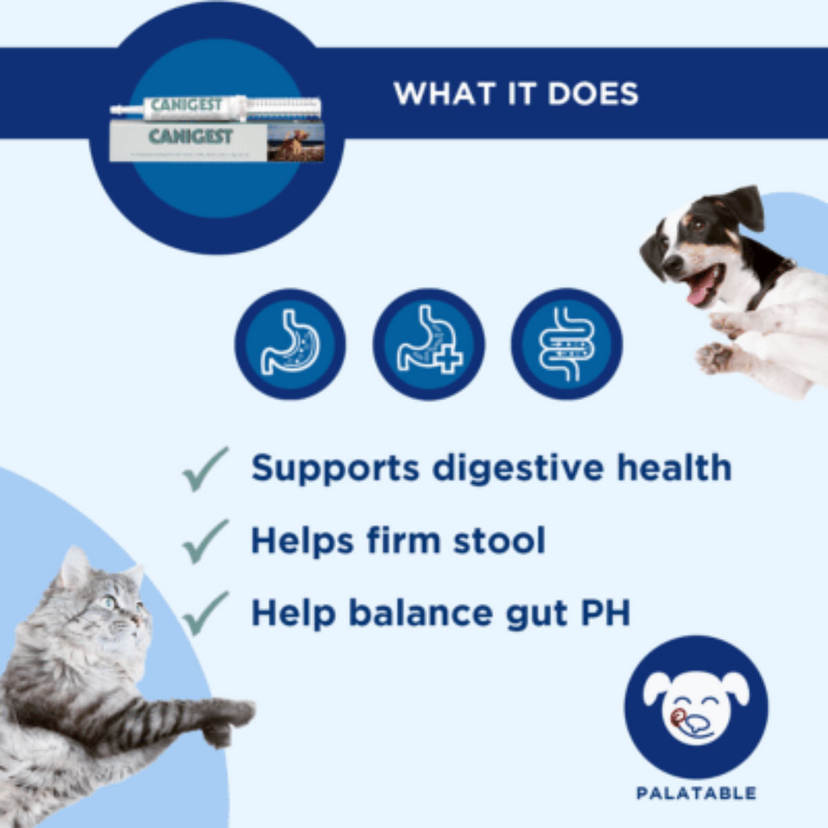 TRM Canigest Oral Paste, supliment sistem digestiv &amp; probiotice câini, pastă orală TRM Canigest Oral Paste, XS-XL, supliment sistem digestiv &amp; probiotice câini și pisici, flacon, 30ml pastă orală