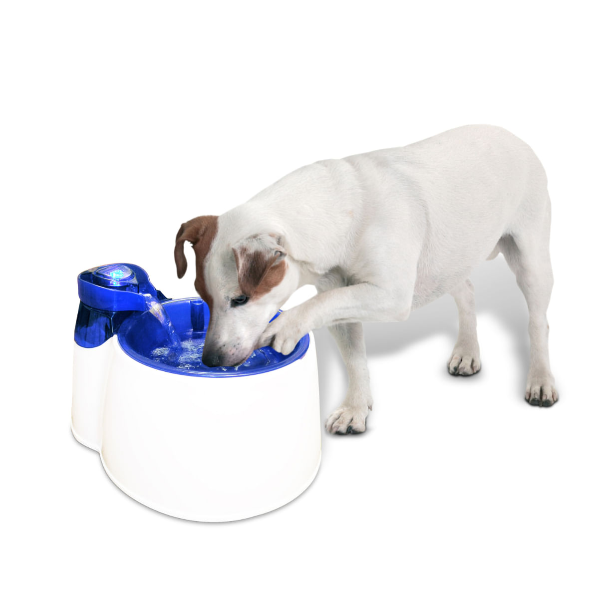 ALL FOR PAWS Fountain Fresh, fântână câini, rotundă, plastic, diverse culori, XS-M(3l) - 2 | YEO