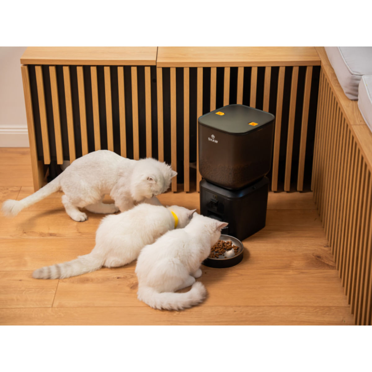 SHAW Smart, hrănitor automat câini, 2 boluri rotunde, programabil, aplicație mobilă, PVC SHAW Smart, hrănitor automat câini și pisici, 2 boluri rotunde, programabil, aplicație mobilă, PVC, negru, XS-S(7l) - 2 | YEO