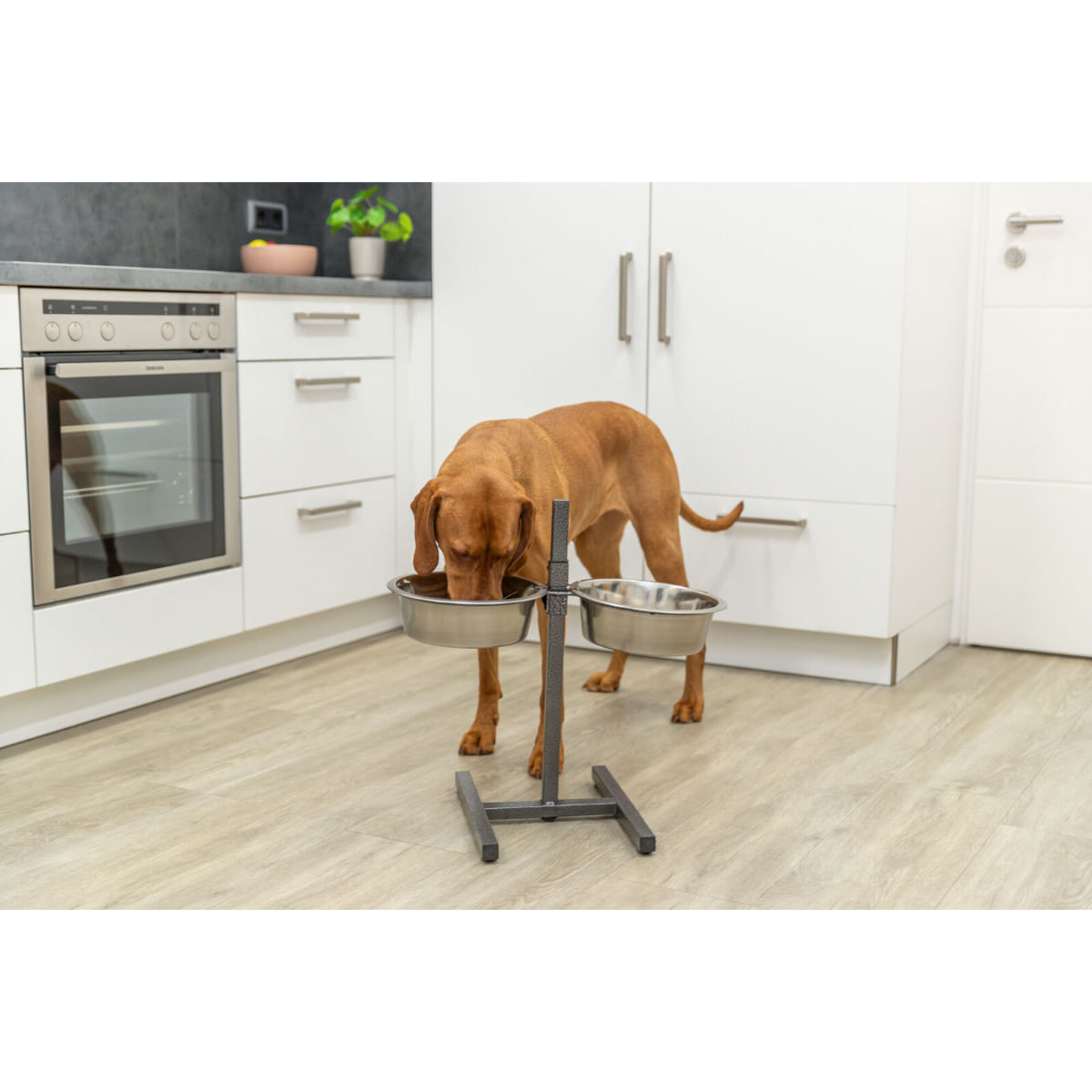 TRIXIE, set suport castroane câini + 2 boluri, înalțime reglabilă, metal, L-XL(2.8l, ⌀24cm) - 2 | YEO