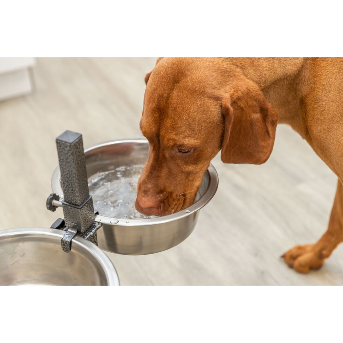 TRIXIE, set suport castroane câini + 2 boluri, înalțime reglabilă, metal, L-XL(2.8l, ⌀24cm)