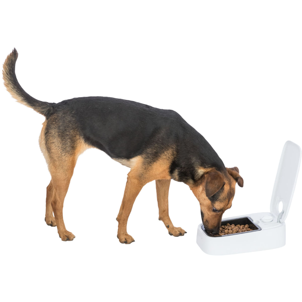 TRIXIE TX1, hrănitor automat câini, 1 bol dreptunghiular, programabil, cu răcire (acumulator frigorific), plastic, alb, S-L(0.3l, 24x7cm)