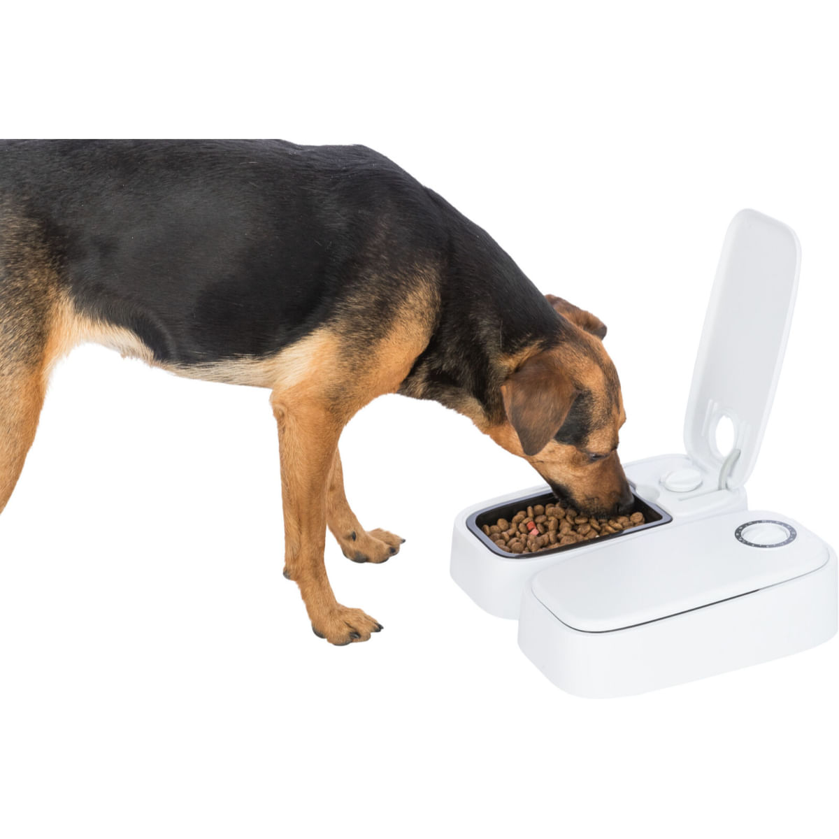 TRIXIE TX2, hrănitor automat câini, 2 boluri dreptunghiular, programabil, plastic, alb și negru, S-L(0.6l, 27x7cm)