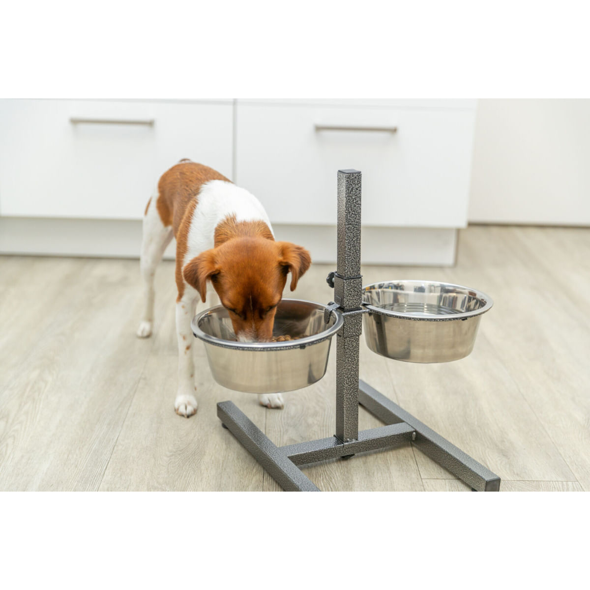 TRIXIE, set suport castroane câini + 2 boluri, înalțime reglabilă, metal, argintiu, M-L(1.8l, ⌀21cm)