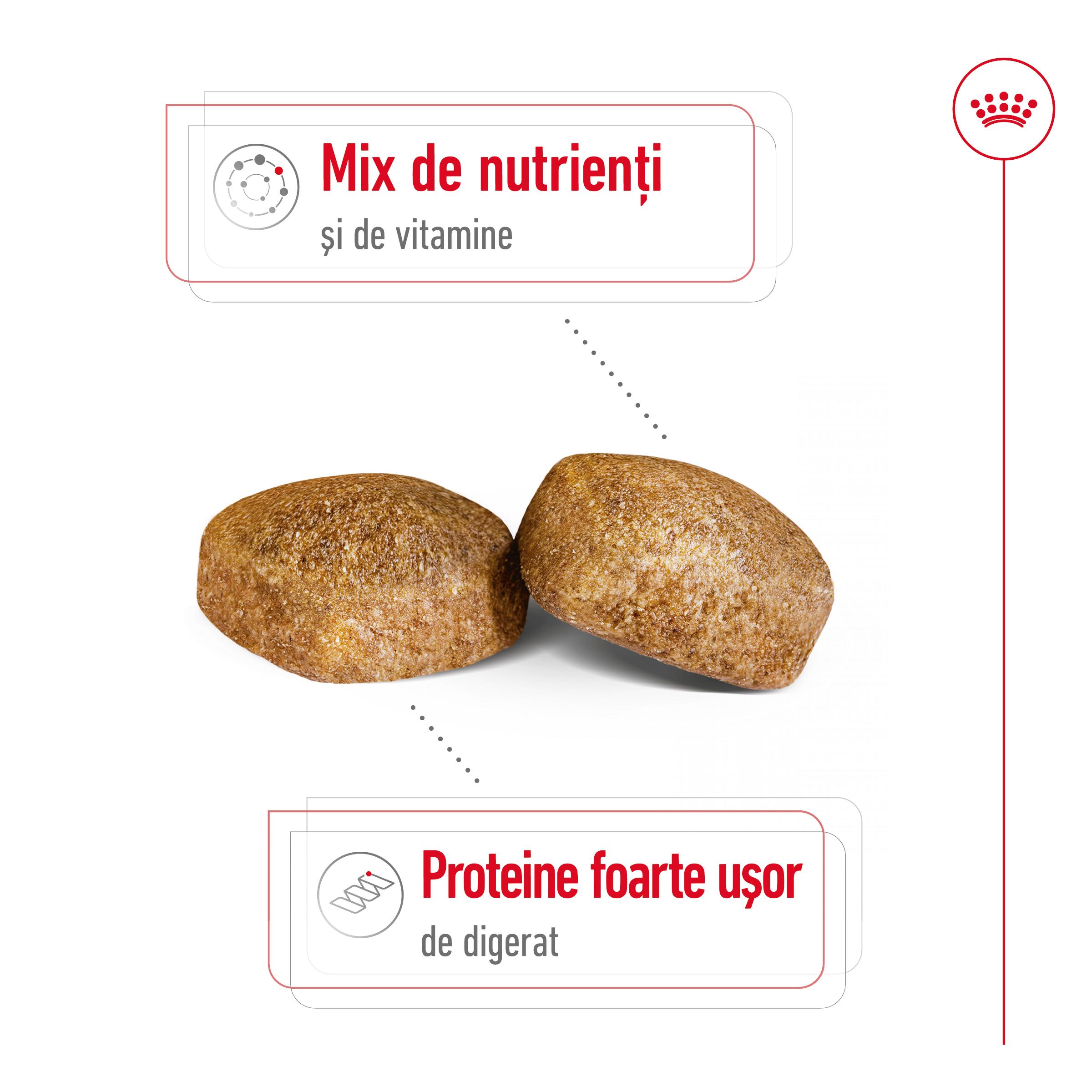 ROYAL CANIN Giant Adult, hrană uscată câini, 15kg - 4 | YEO