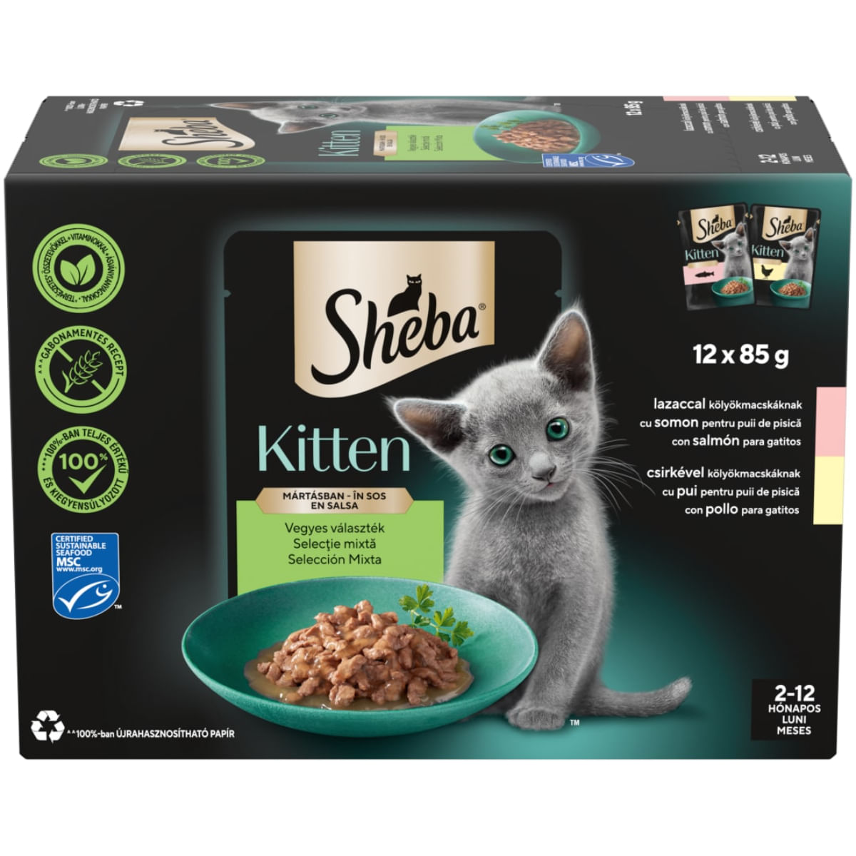 SHEBA Kitten Selectie Mixta, Somon și Pui, plic hrană umedă pisici junior, (în sos), multipack, 85g x 12buc - 1 | YEO