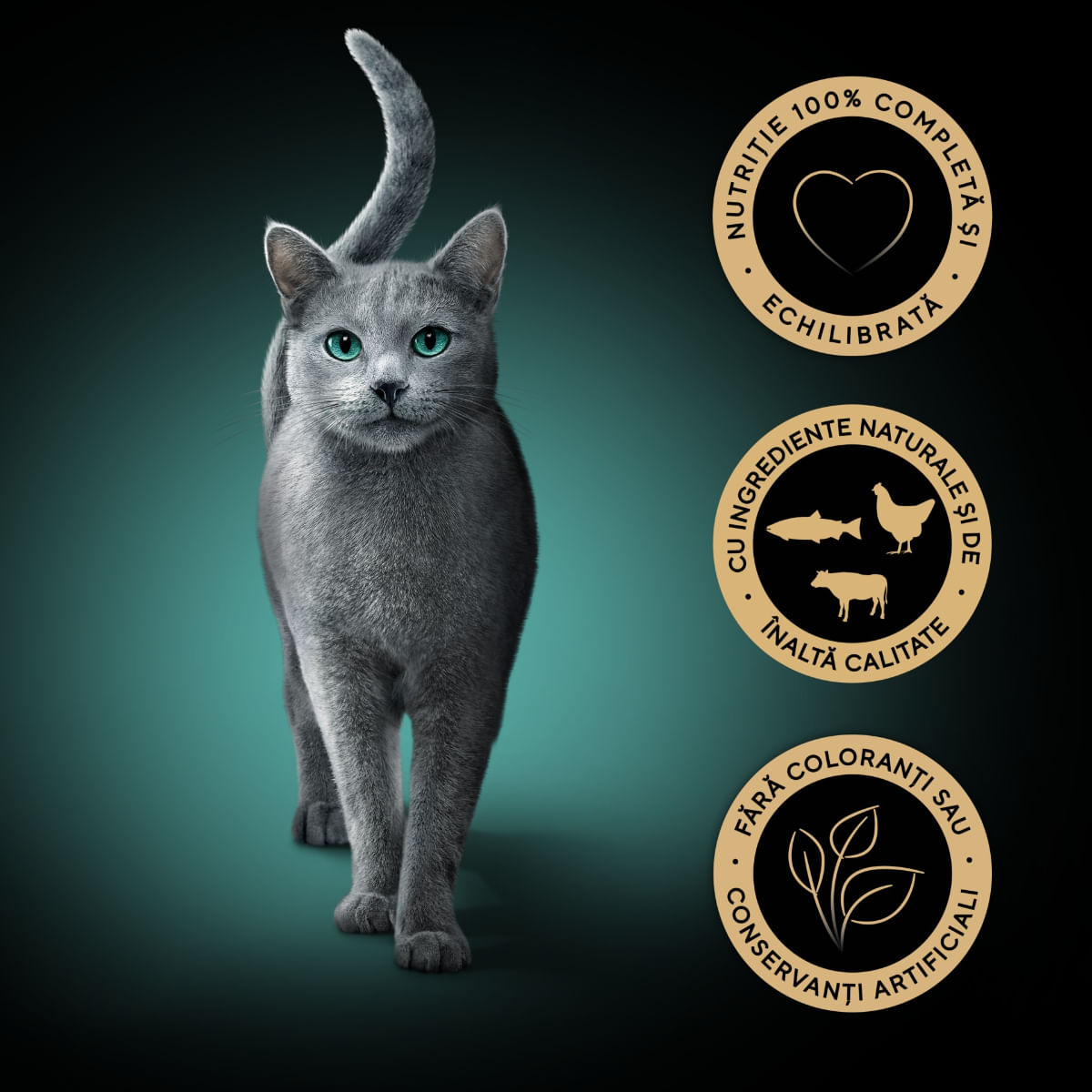 SHEBA Fresh Cuisine Taste of Paris Selectie Mixta cu Vita, Pește și Ficat, plic hrană umedă pisici, (în sos), multipack, 50g x 6buc