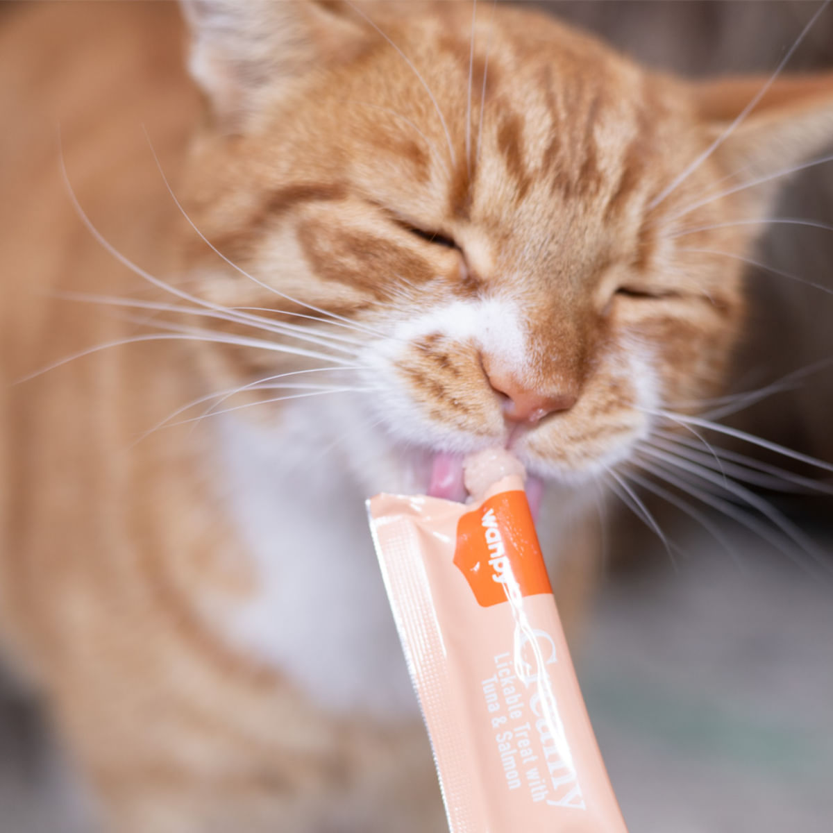 WANPY Creamy Treat, Ton și Somon, punguță recompense pisici, (piure), 700g - 2 | YEO