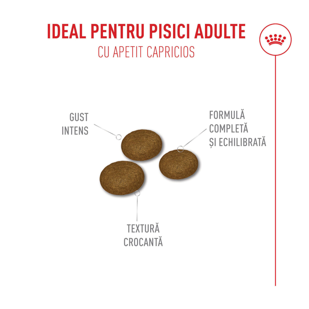 ROYAL CANIN Feline Health Nutrition Fussy, hrană uscată pisici, apetit capricios, 400g